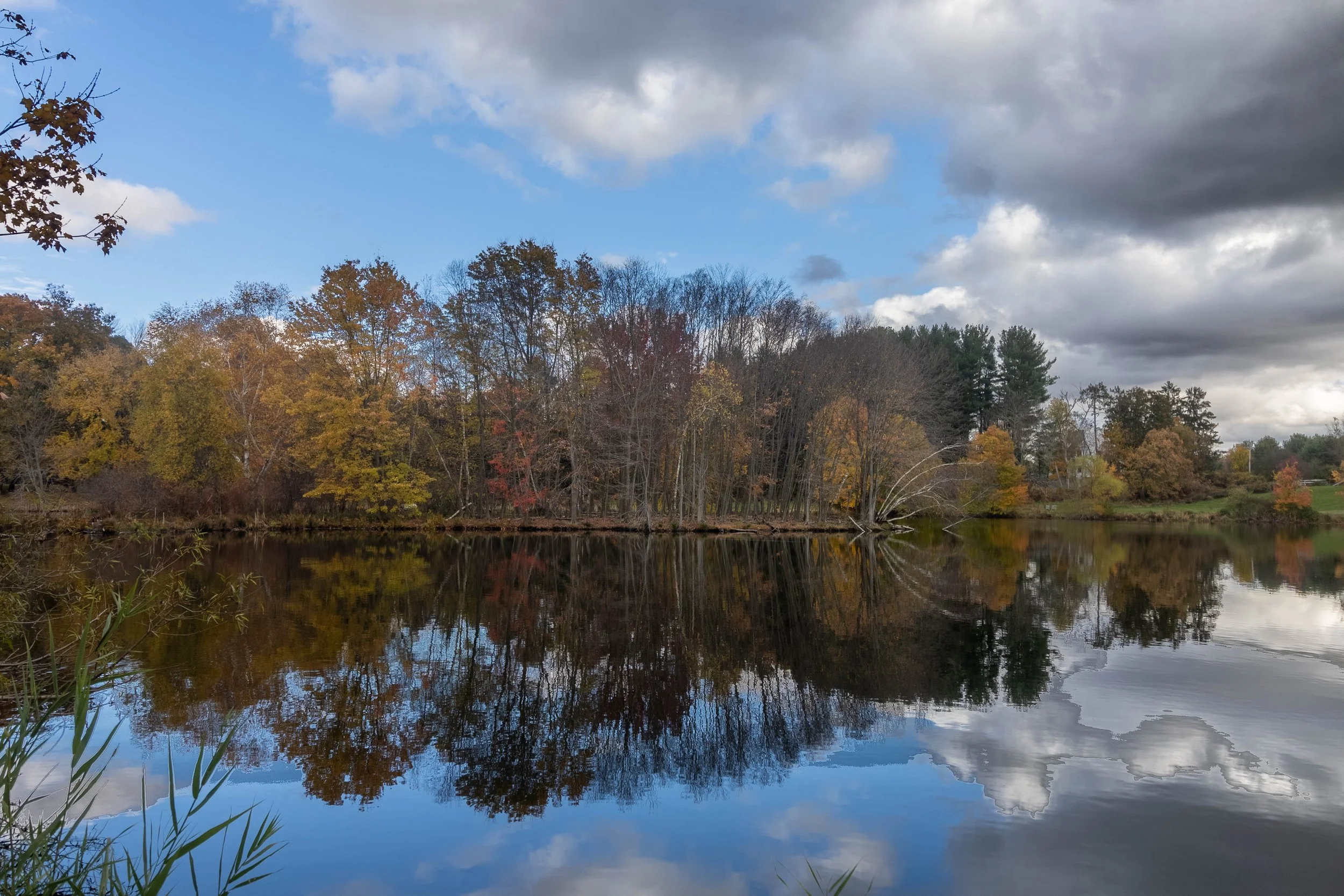 IMG_2686-HDR.jpg