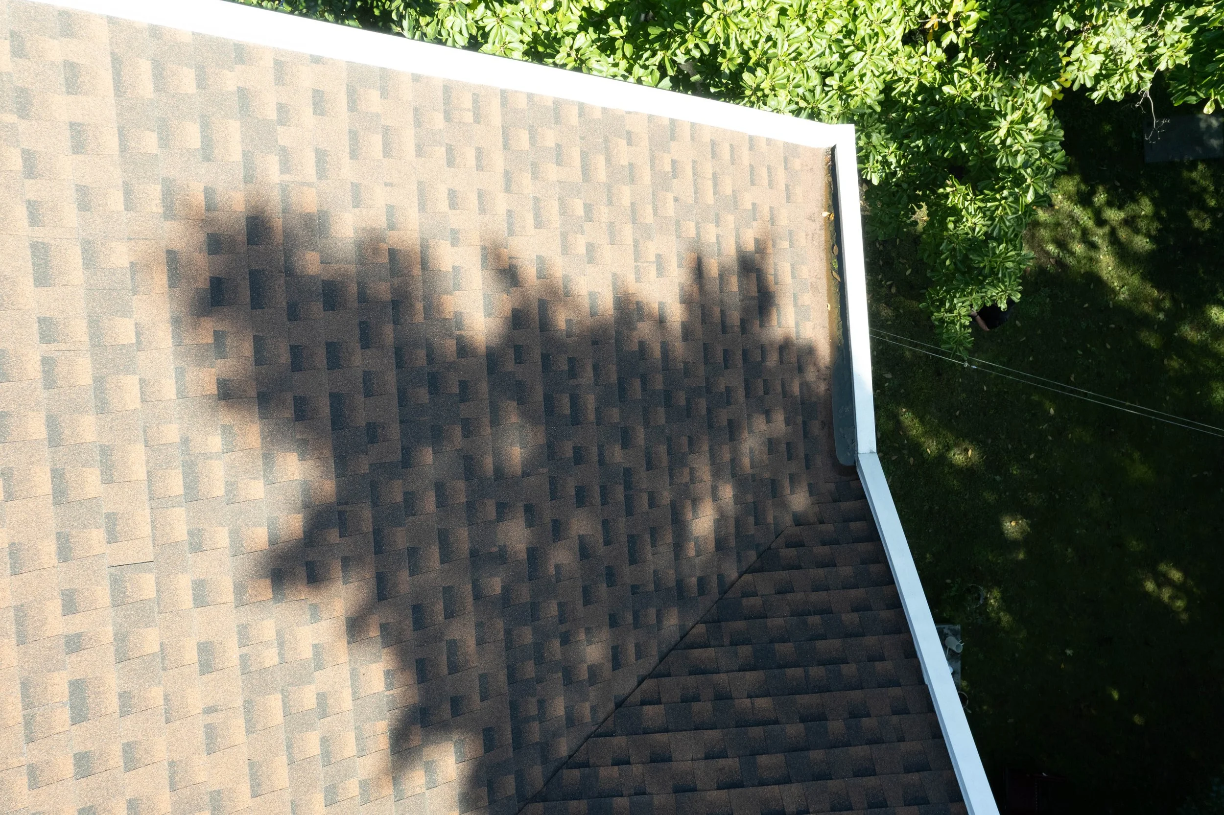 DJI_0018.jpg