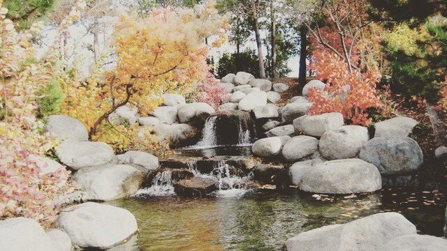 New blog post up at normalearth.com! What kind of plants do you need for a rock garden, meadow garden, herb garden? Find out more! Link in Bio. #gardeninspiration #olbrichbotanicalgardens #madisonlawncare #madisongarden #lawncareservice #gardendesign