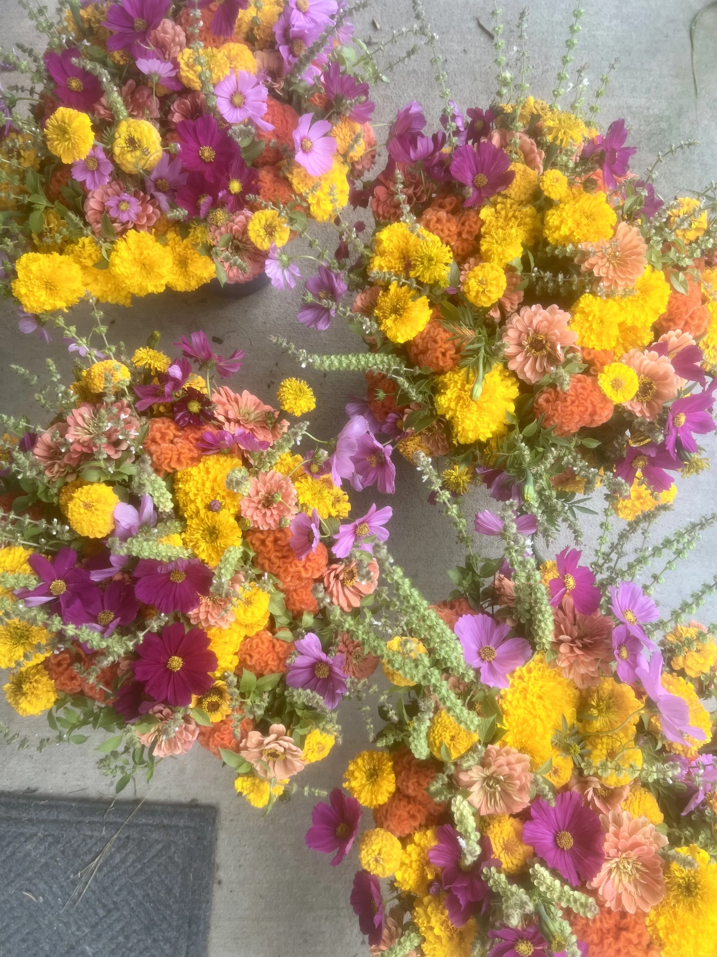 IMG_6271.jpeg