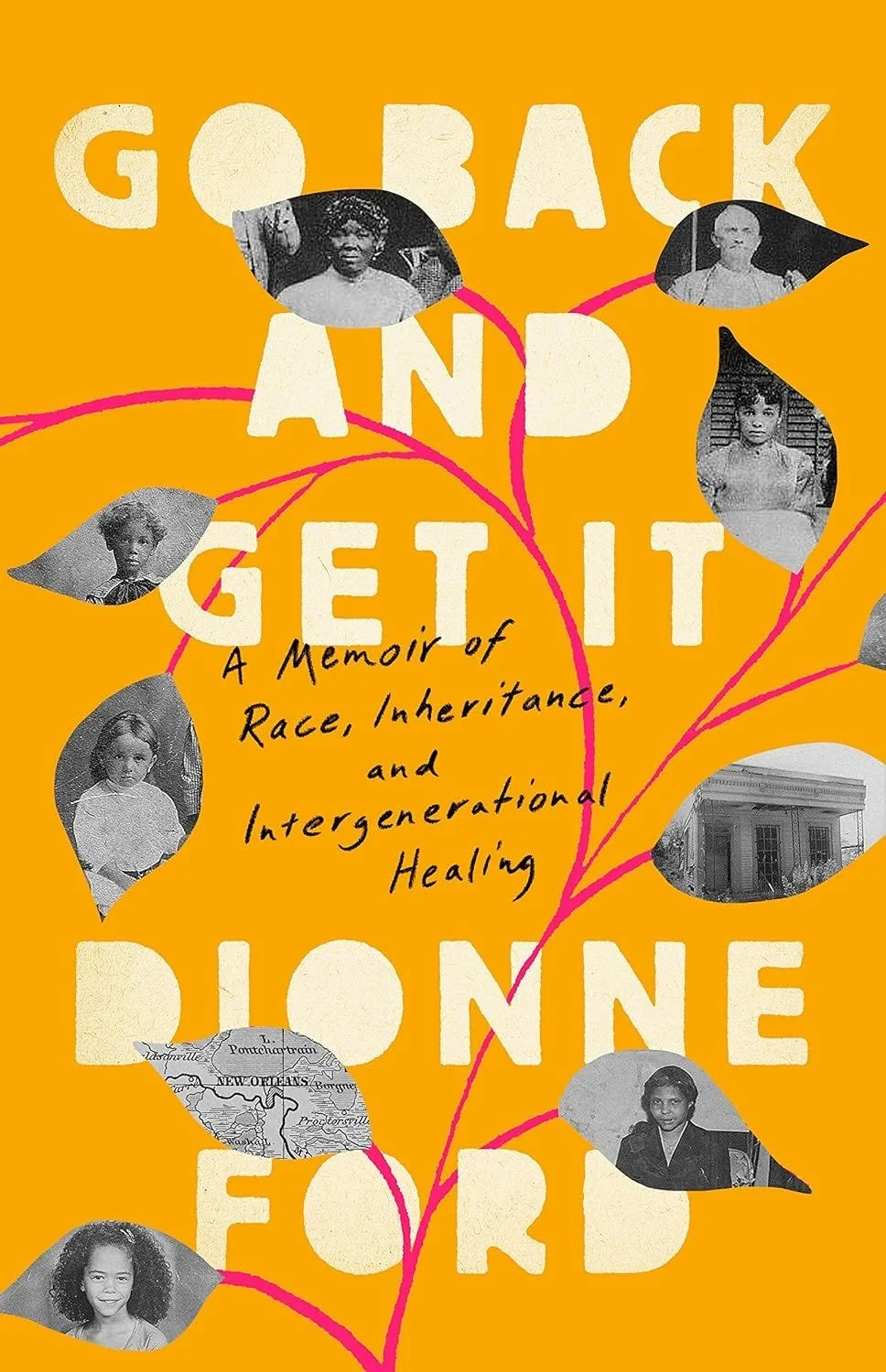 Go Back and Get It book cover