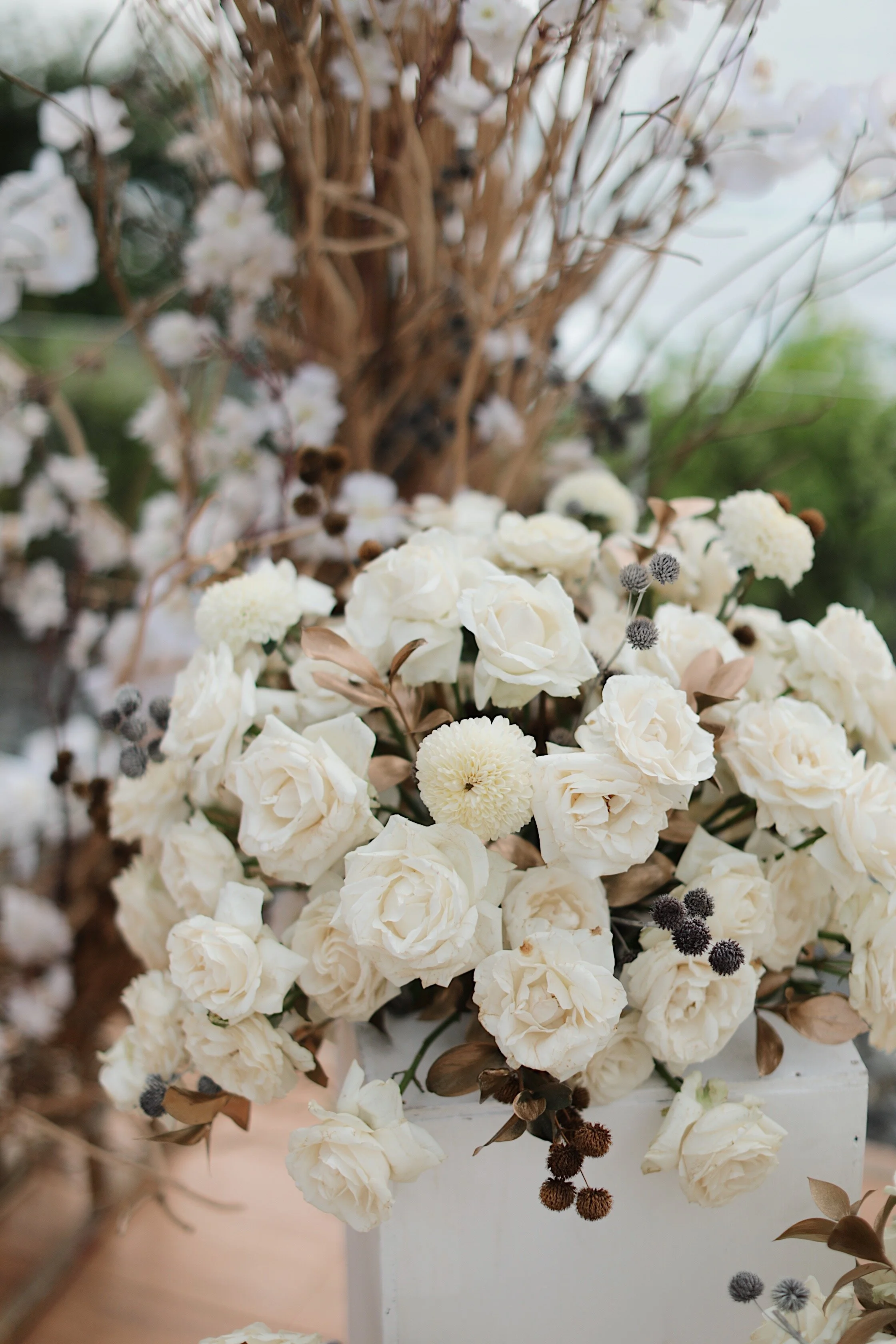 C7F89752-19F2-4ADD-9758-C72FA087ADE4.JPG