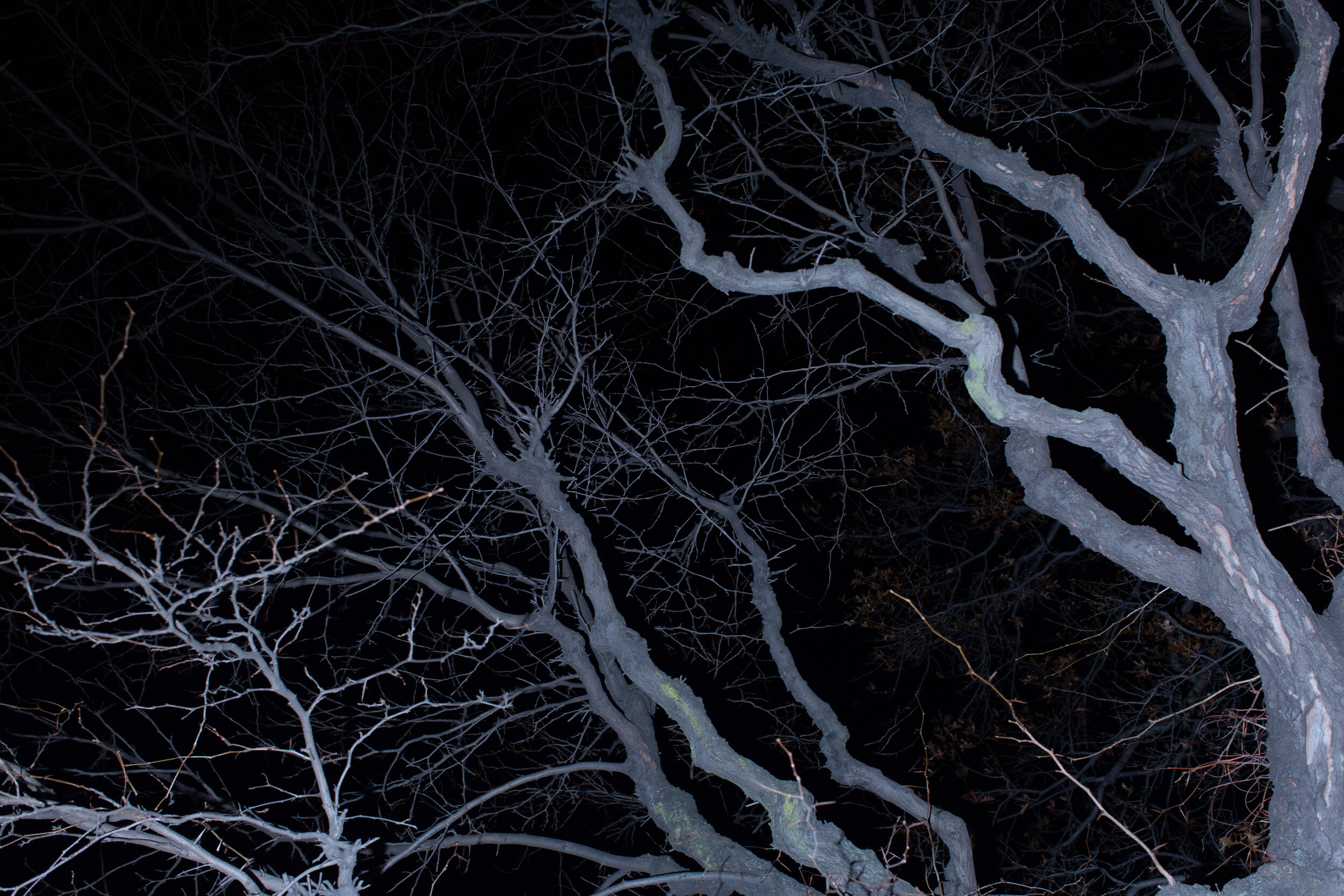 20191129-004.JPG