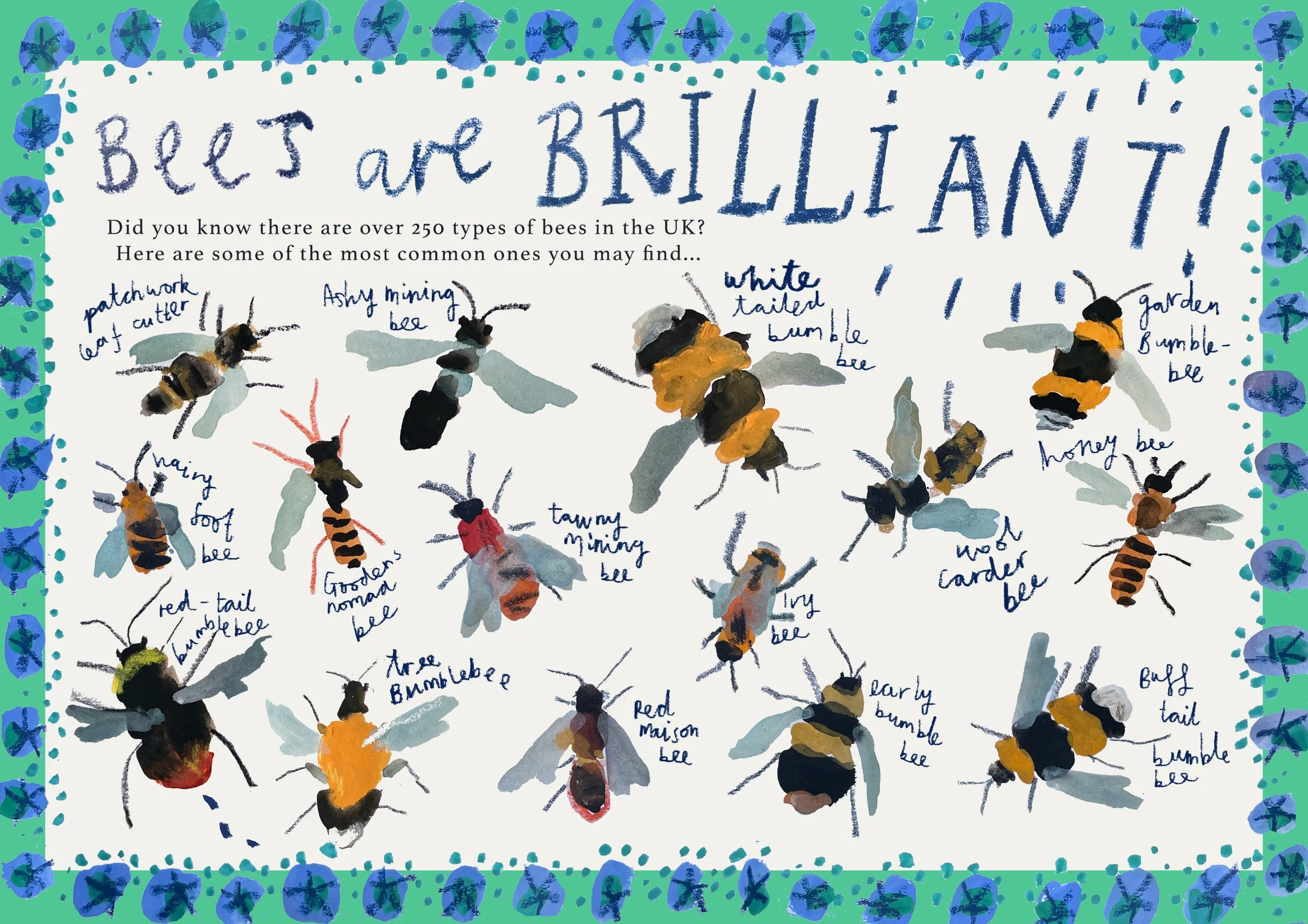 BEES ARE BRILLIANT EDIT copy.jpg