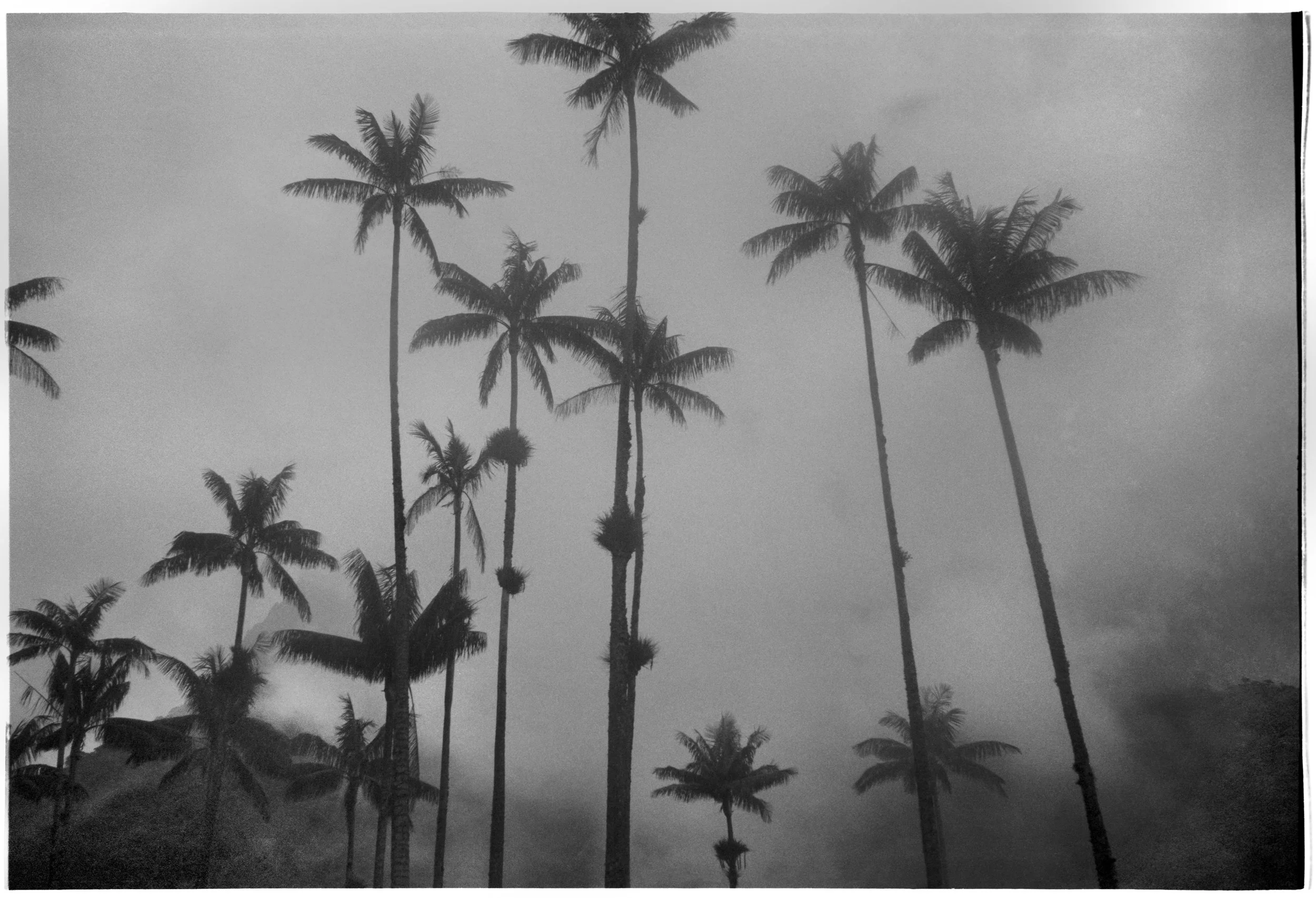 Untitled (4) (13).jpg