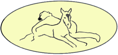 Equine CranioSacral Workshops