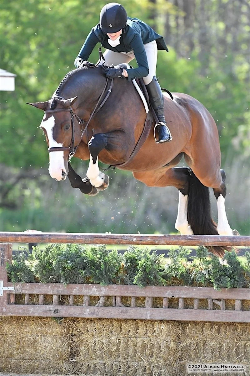 Saratoga Horse Shows