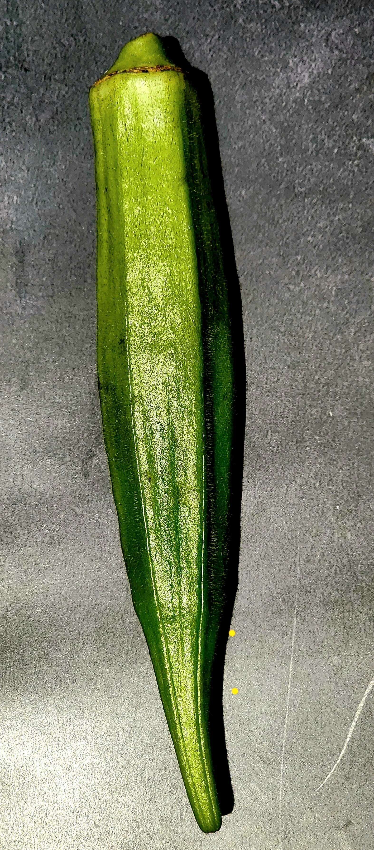 20230714_174803.jpg