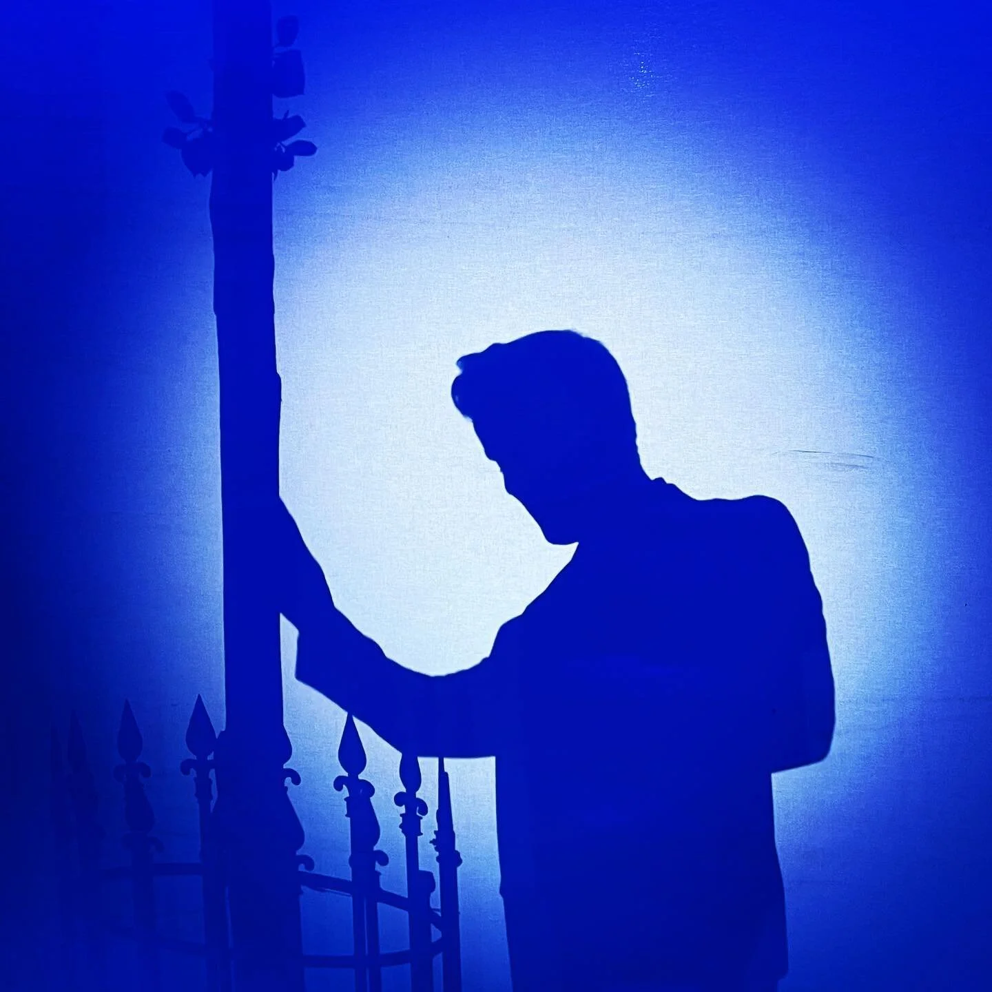 Has anyone seen any lilac trees? I could&rsquo;ve sworn they were around here somewhere&hellip;