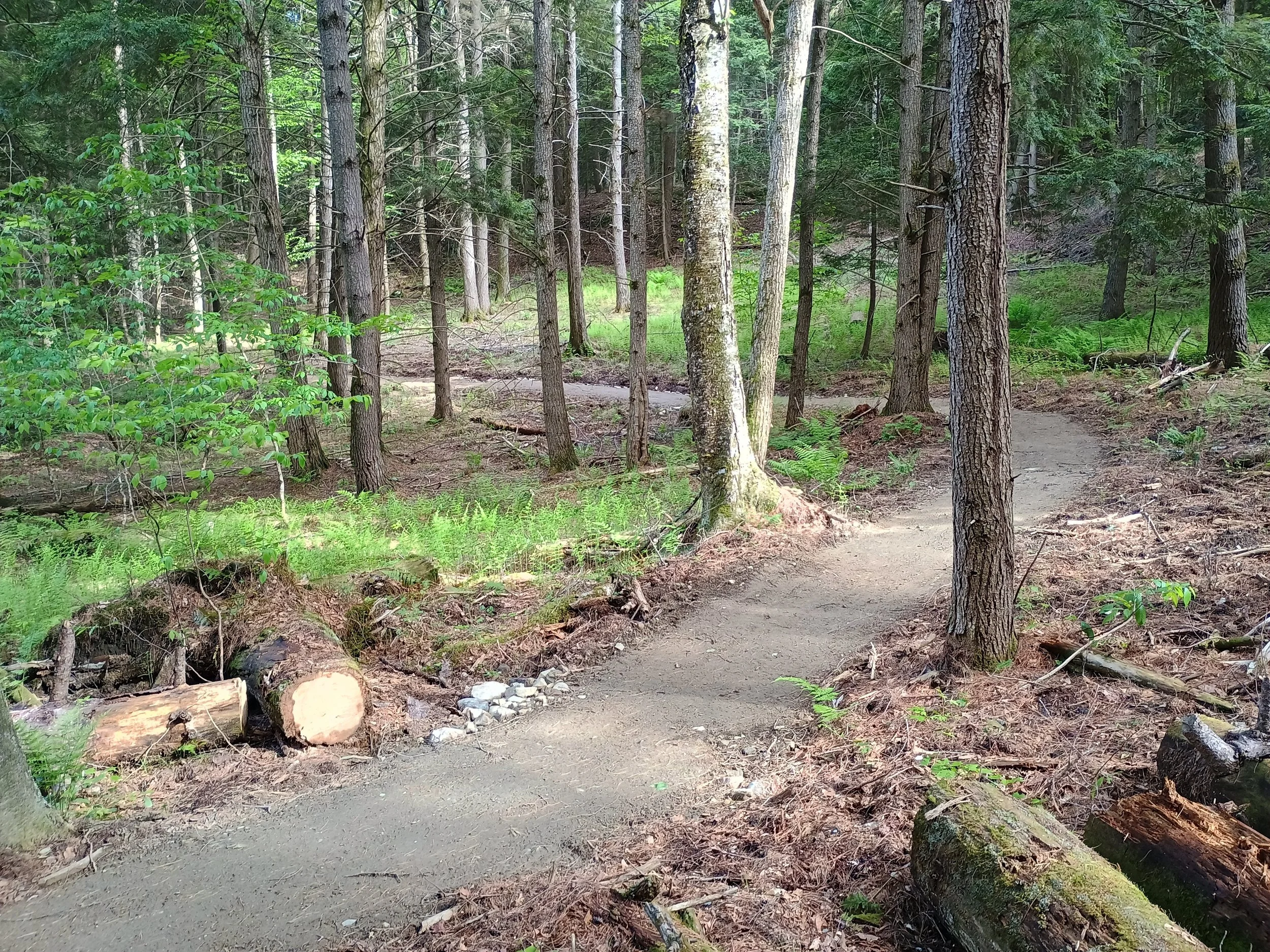 2026_Norwich_singletrack.jpg