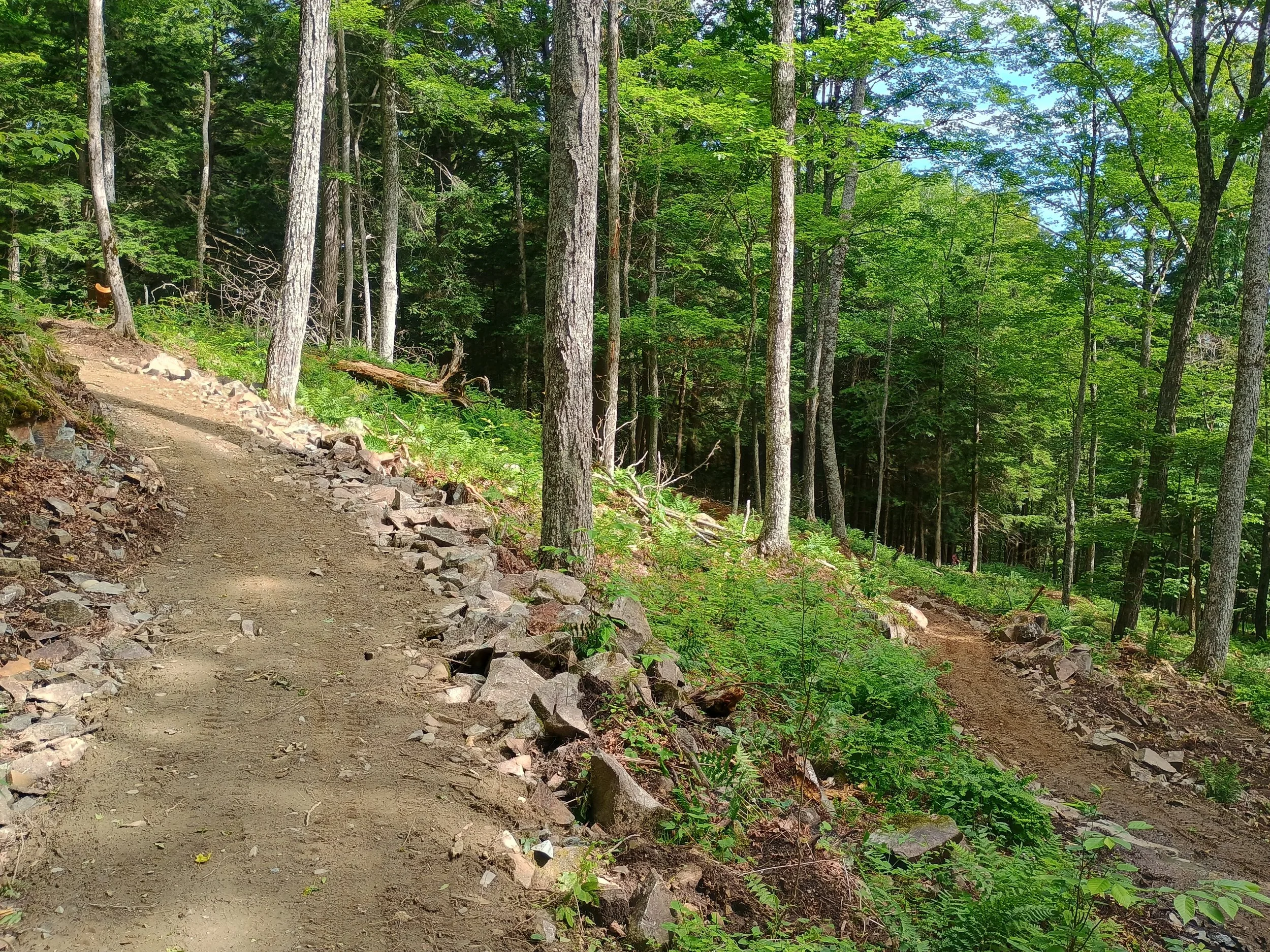 2026_Norwich_singletrack3.jpg