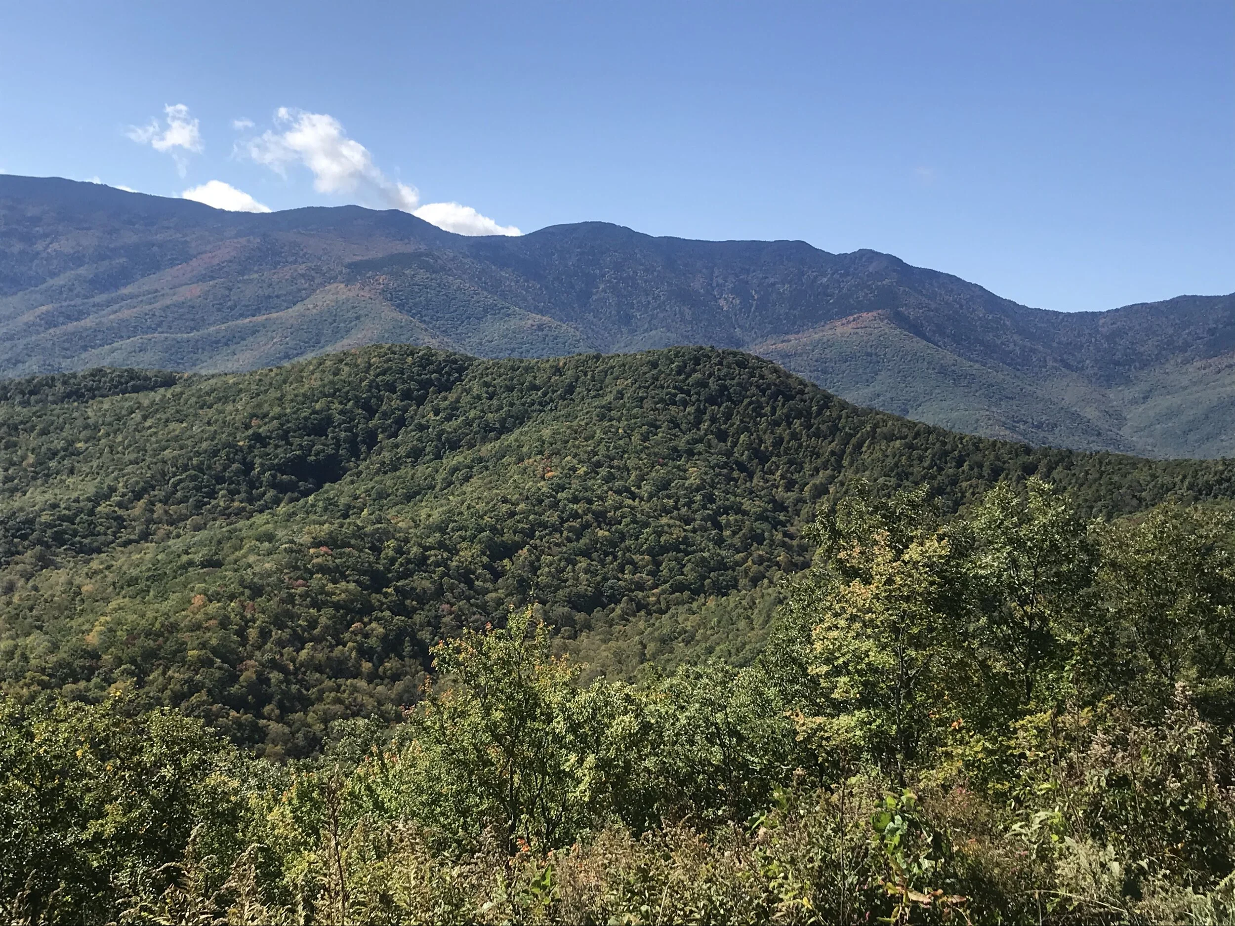 guided hikes near me