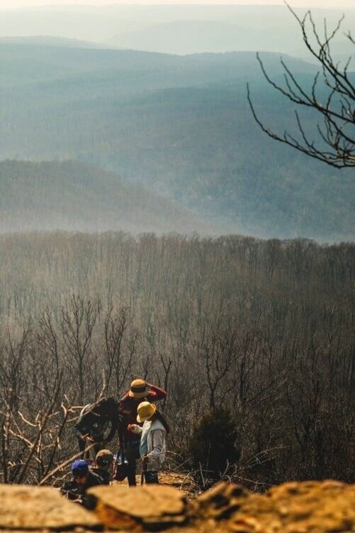 Dupont State Forest