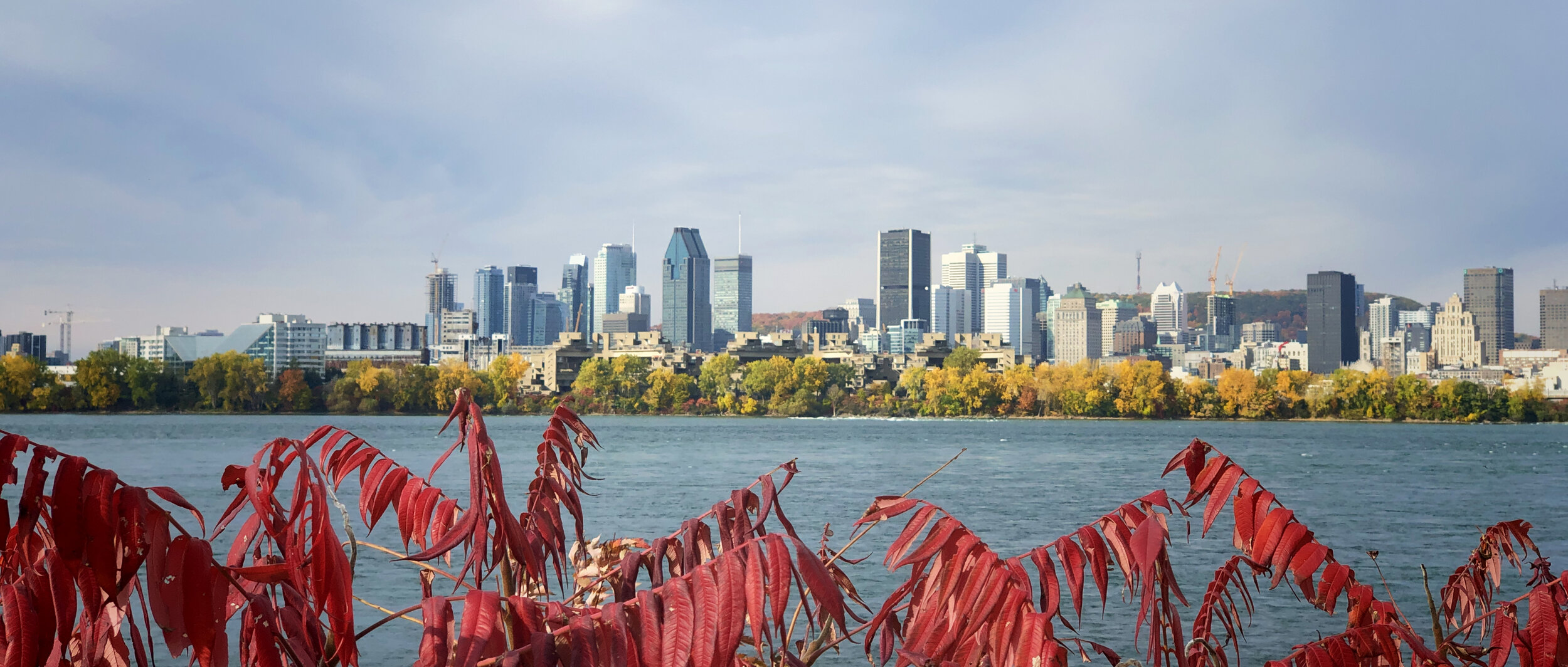 MONTREAL