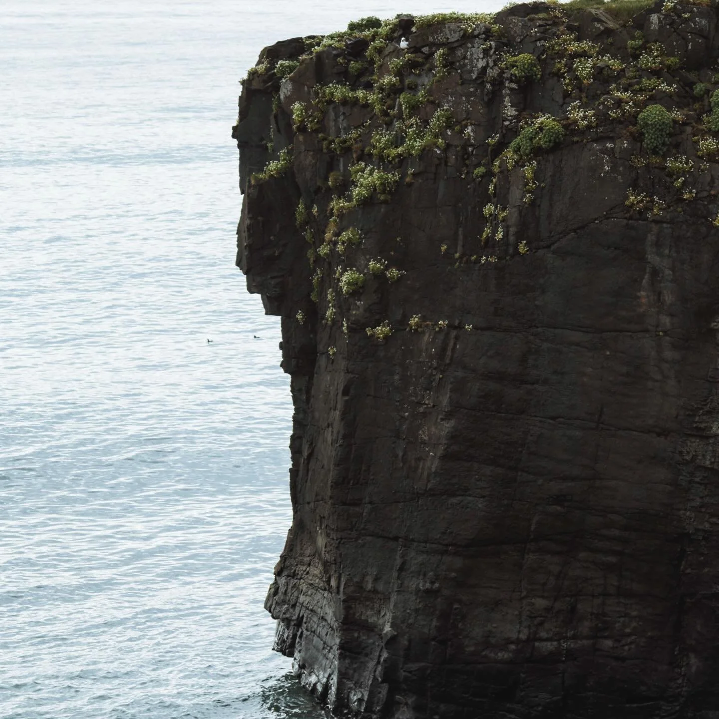 Winter beach. #winterbeach #shells #enamel #wallsculpture #simplicity