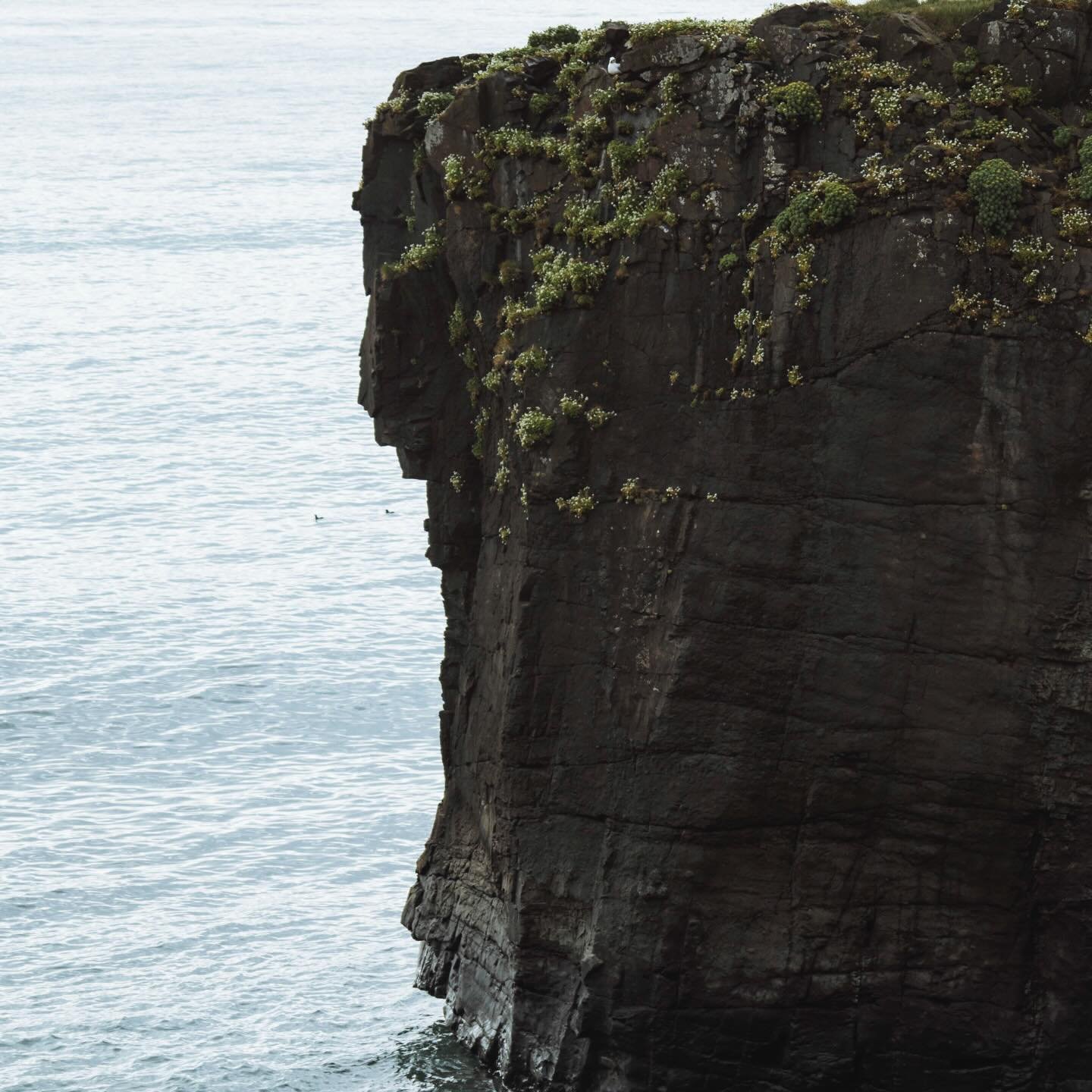 Winter beach. #winterbeach #shells #enamel #wallsculpture #simplicity
