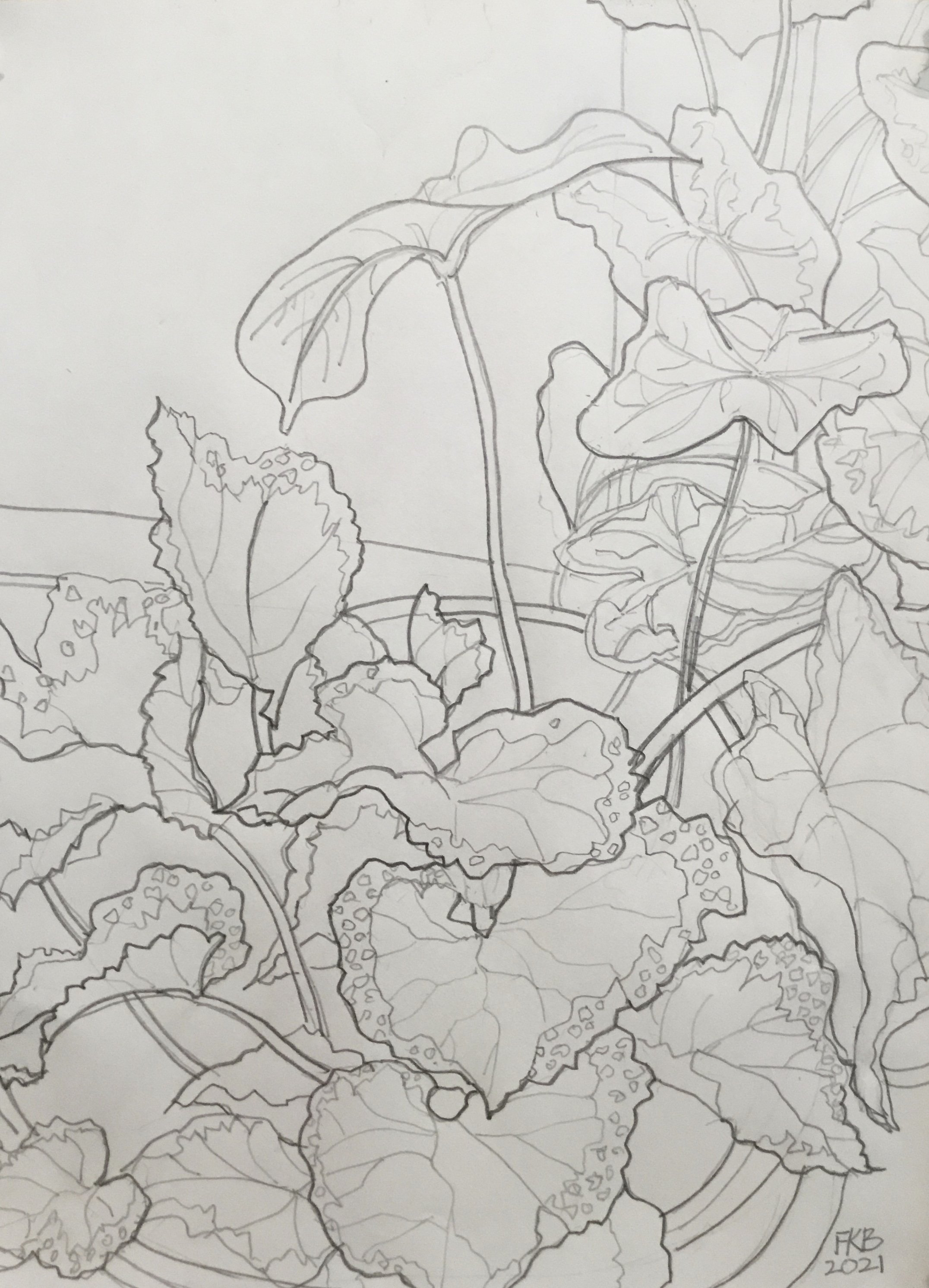 Summer Plants