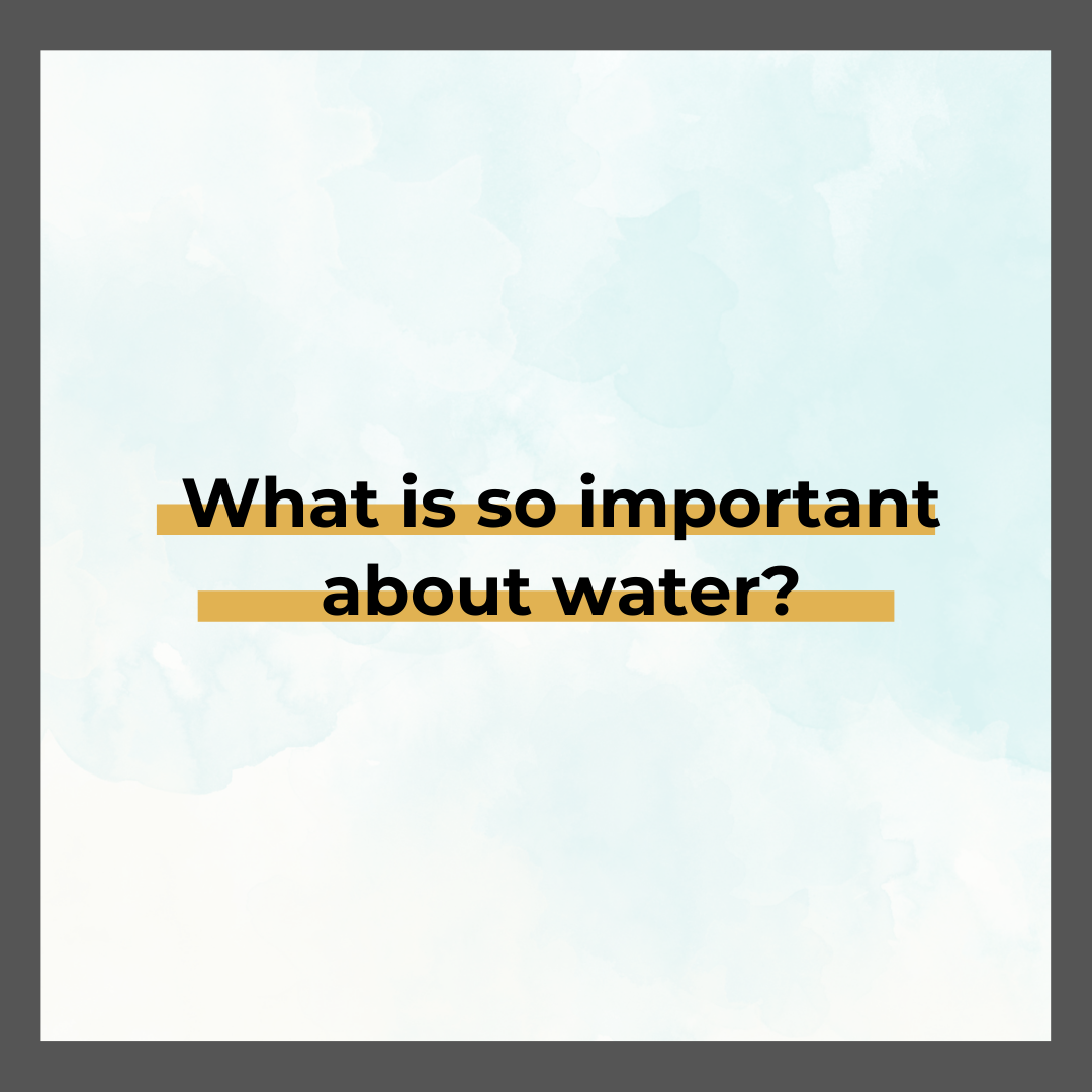 What is so important about water?