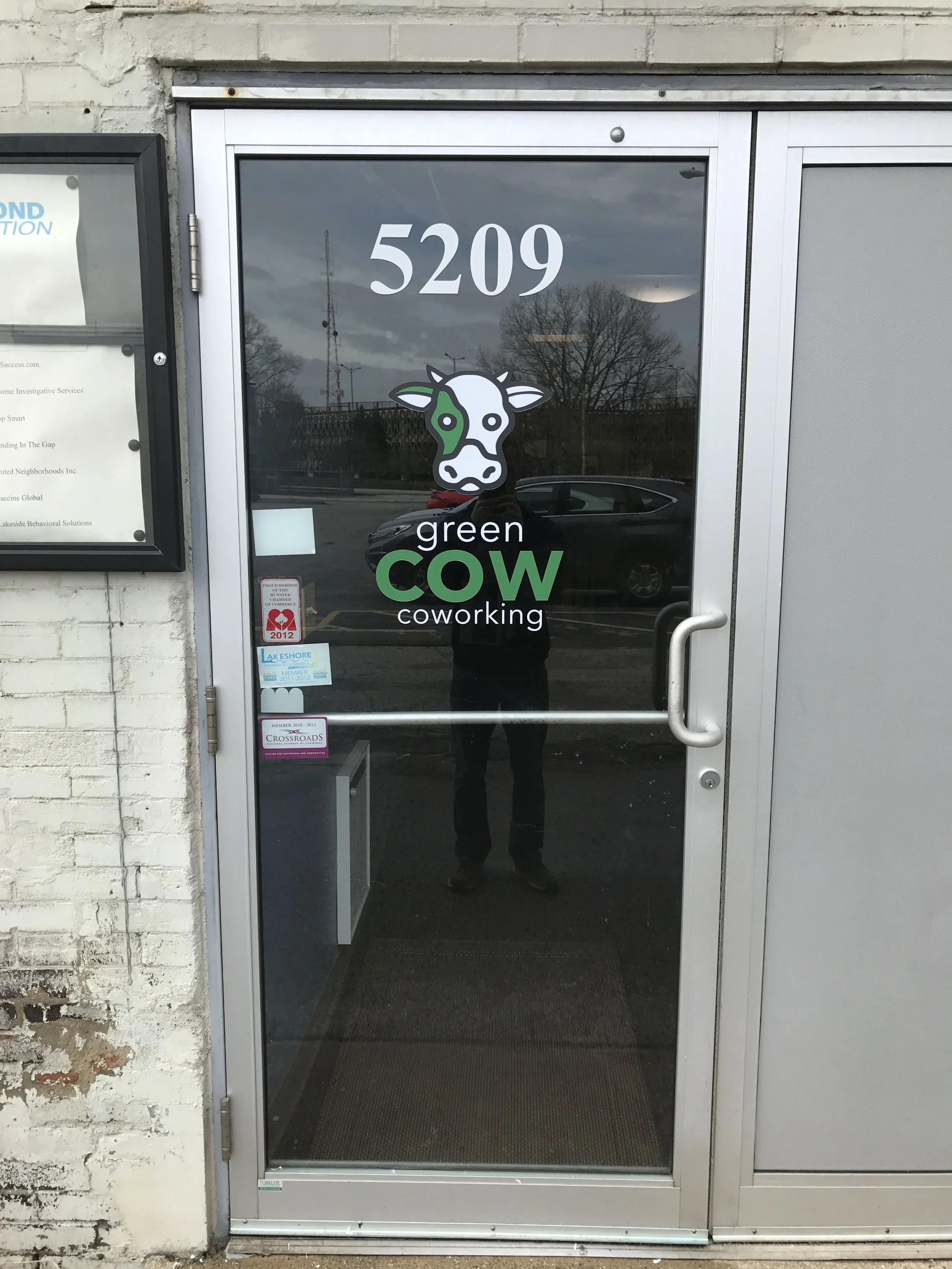 Cow1.JPG