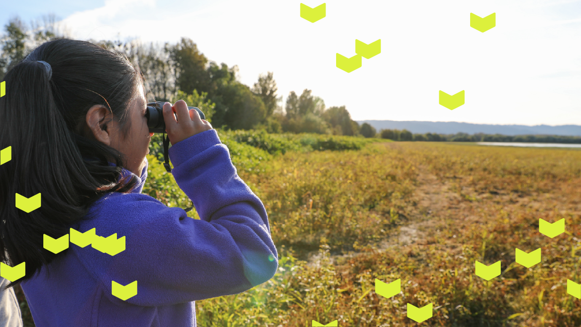 PARTNER: Metro Future Vision Survey