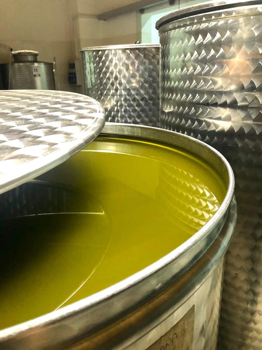 olive oil pressed.jpg