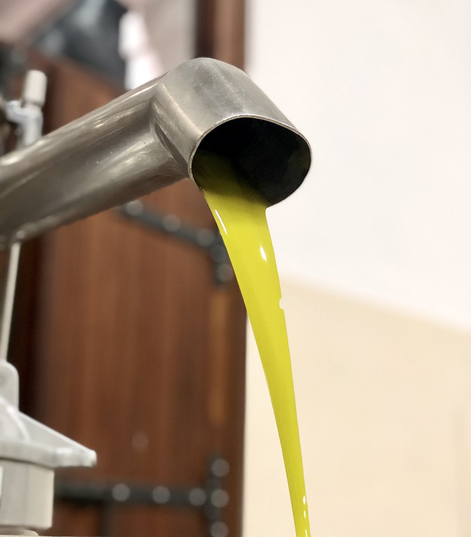 olive oil being pressed.jpg
