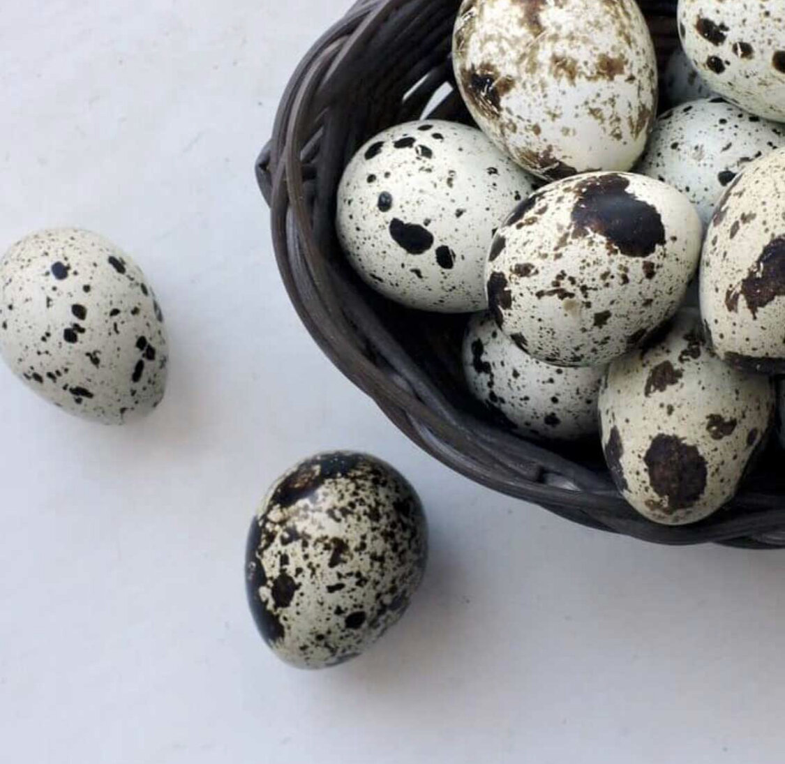 quail eggs.jpg