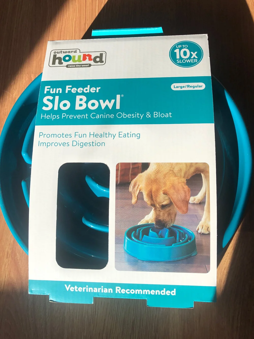 Slow Feed Bowl Pawsitive Attitude Dog Training