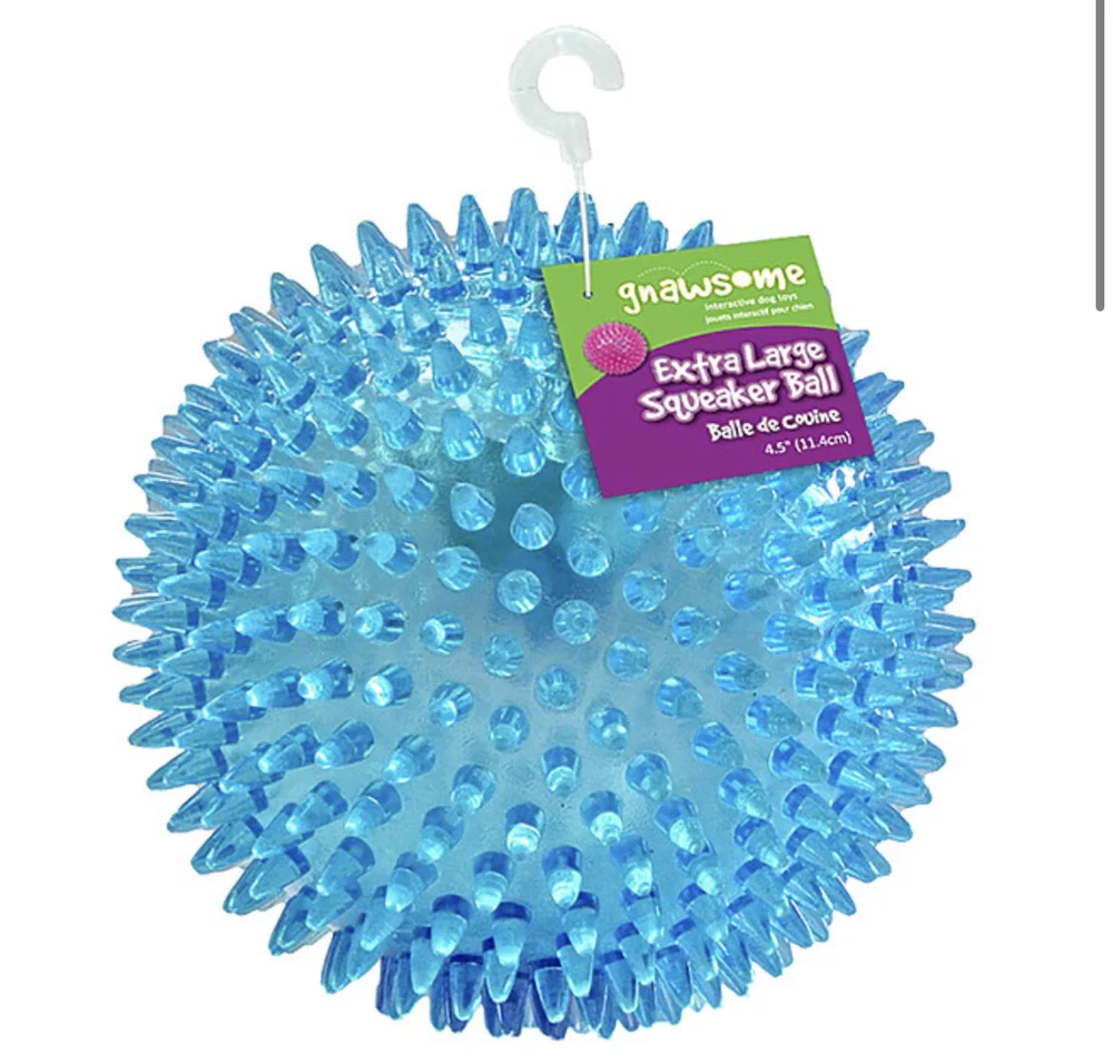 Gnawsome squeaker ball dog clearance toy