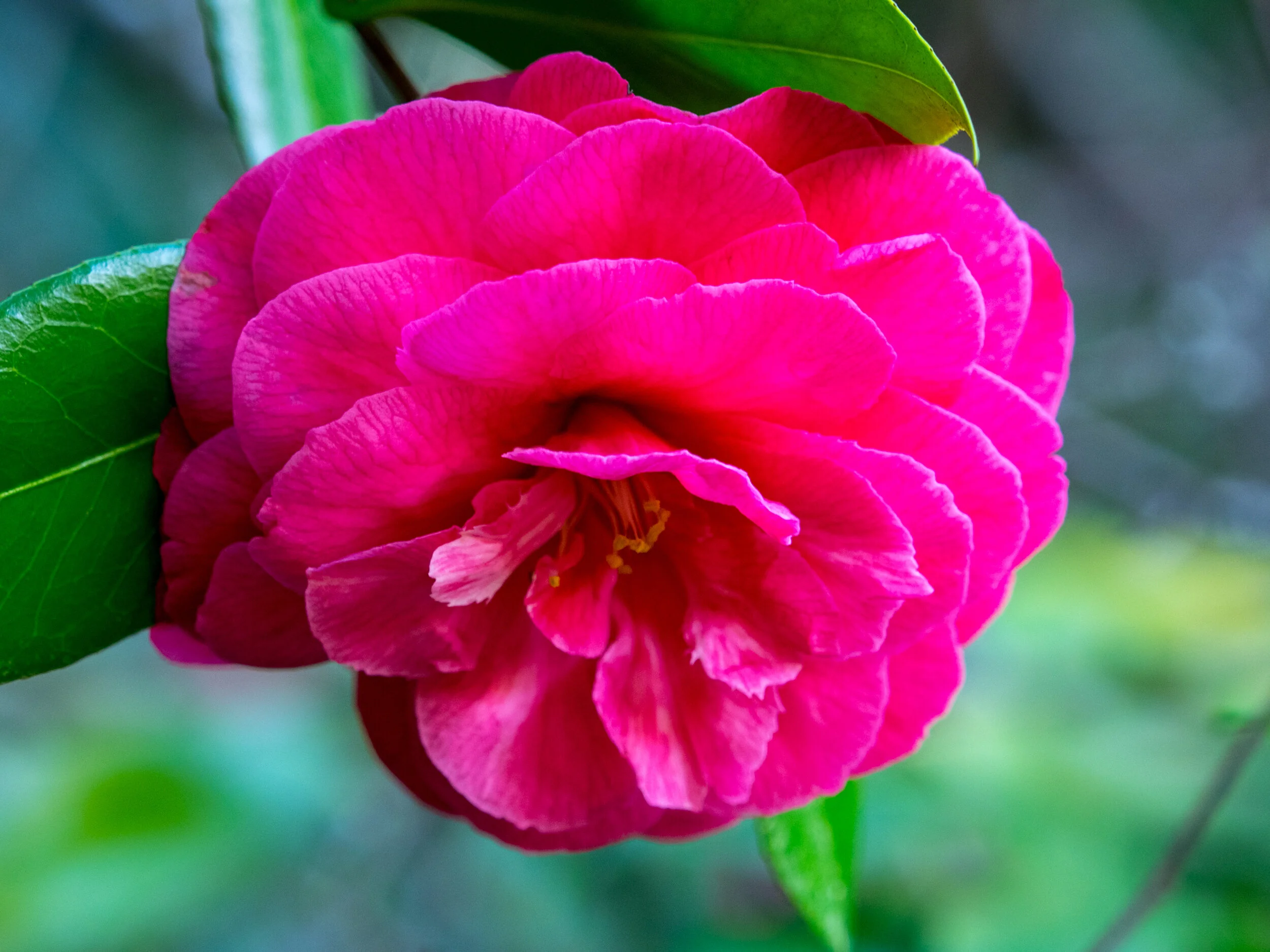 20150321-P3210743.jpg