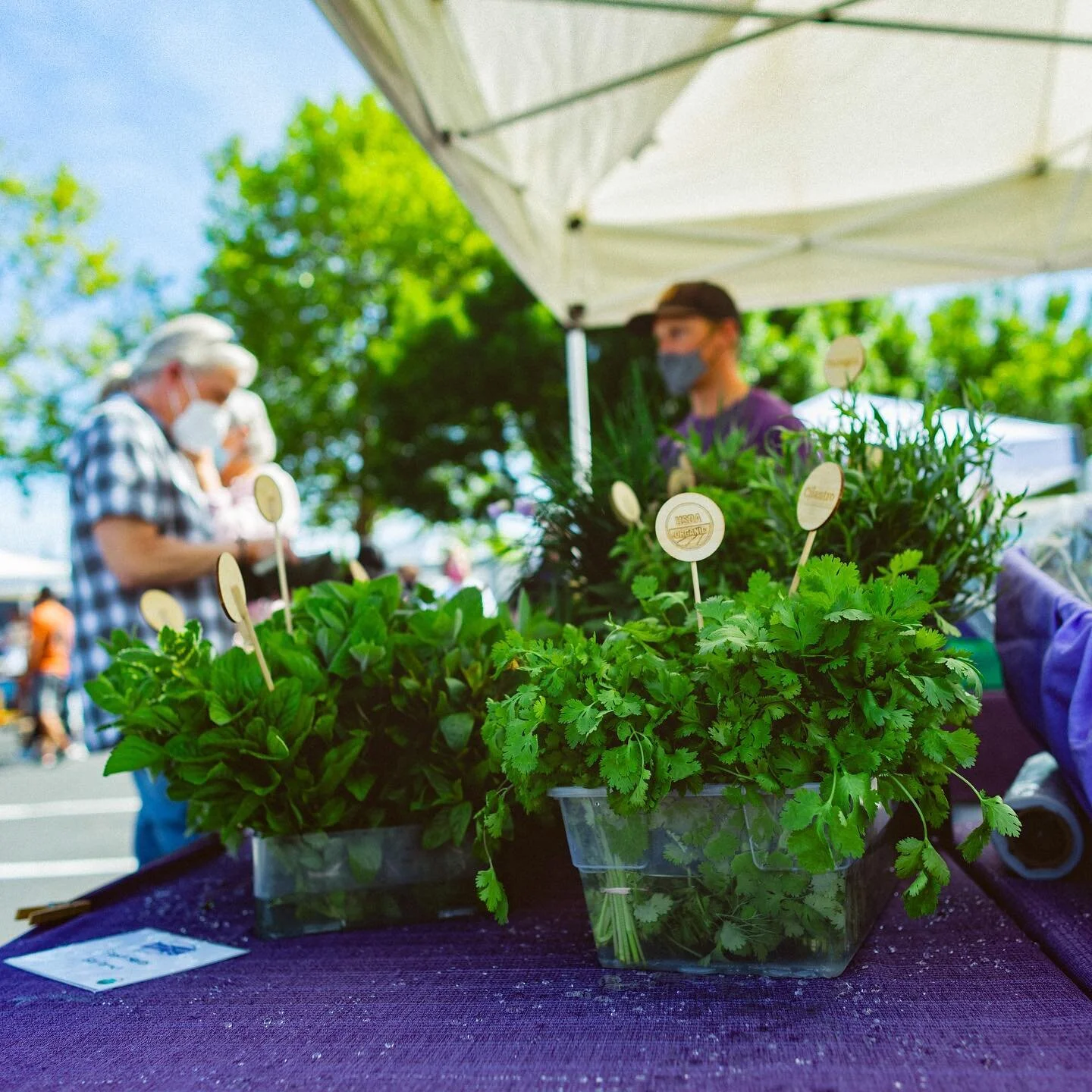 The Boise Farmers Market