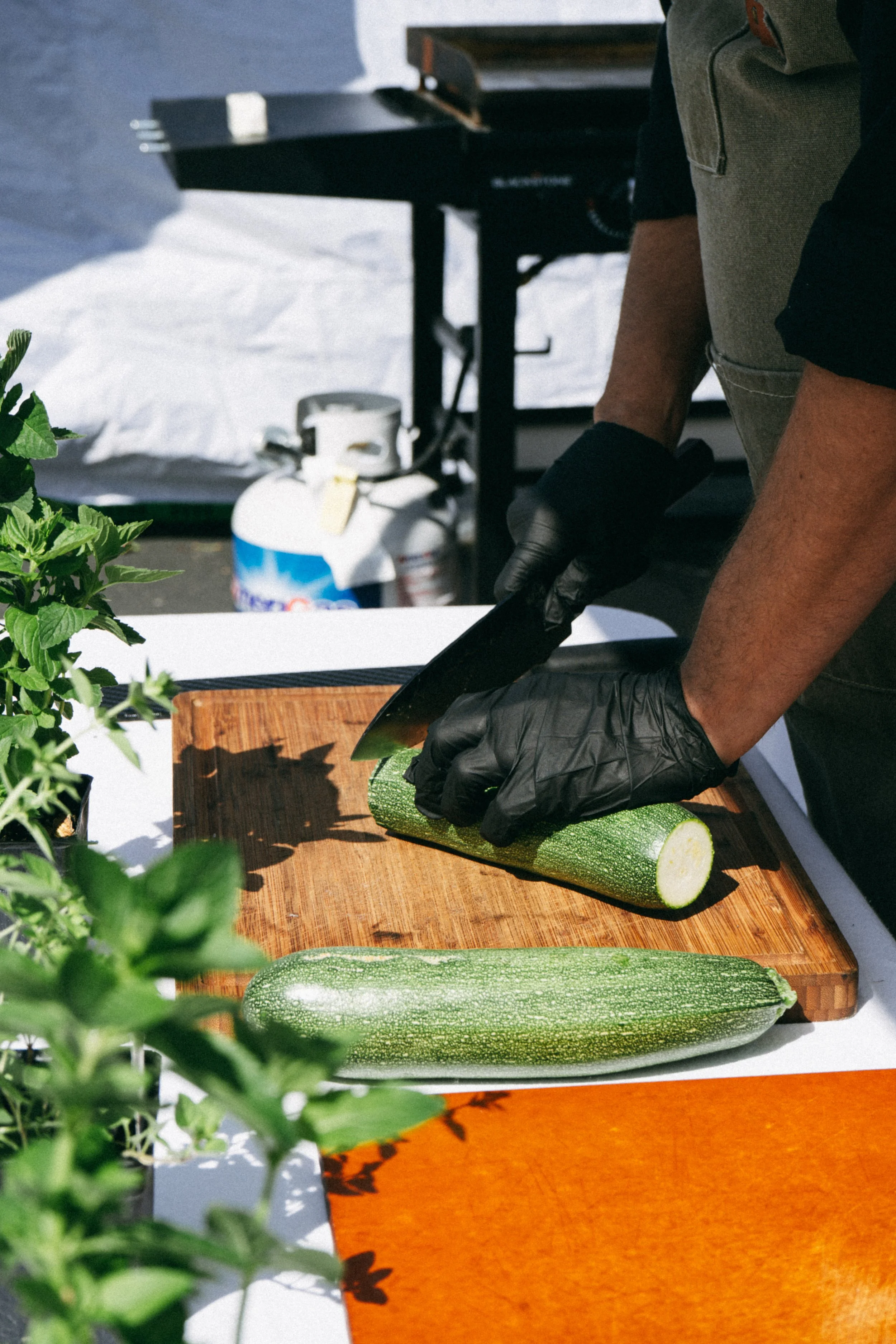 Shop with a Chef "Harvest Haul"