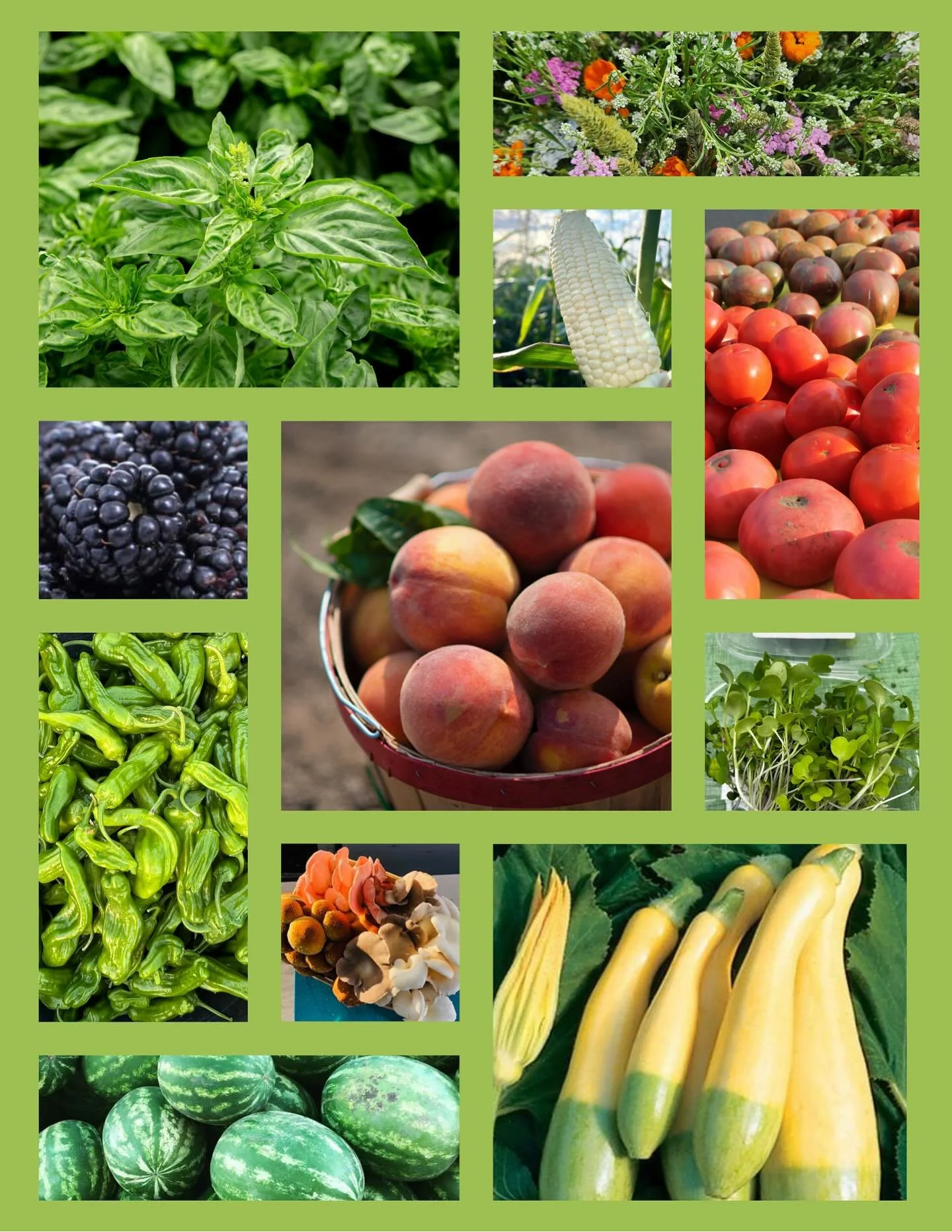 Can&rsquo;t wait for Saturday to start shopping for your farm fresh produce? Plan ahead and order from the Drive Thru Market! 🚙

We&rsquo;re in a season of abundance, and there are TONS of incredible products to shop from. Order until tonight at 11p