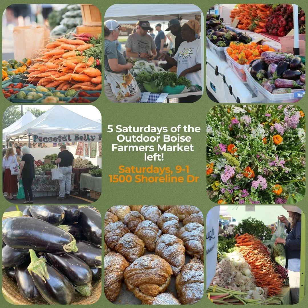 Don&rsquo;t miss the most exciting part of the season at the Boise Farmers Market! Harvest season in early fall means end of summer produce and early winter produce are both in abundance at the market 🥕🍎🍇

We are at the Outdoor Market location thr