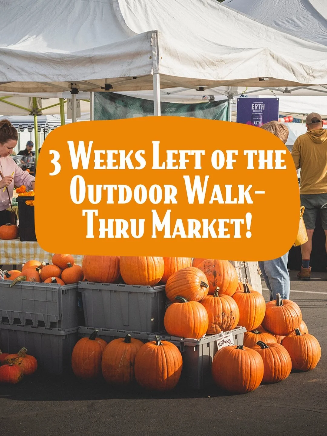 The countdown to the end of the Summer Walk Thru Market season is here! With just 3 weekends left at 1500 Shoreline Drive, be sure to come on down to enjoy our wide variety of vendors with farm fresh goods and quality handmade products, Saturdays fro