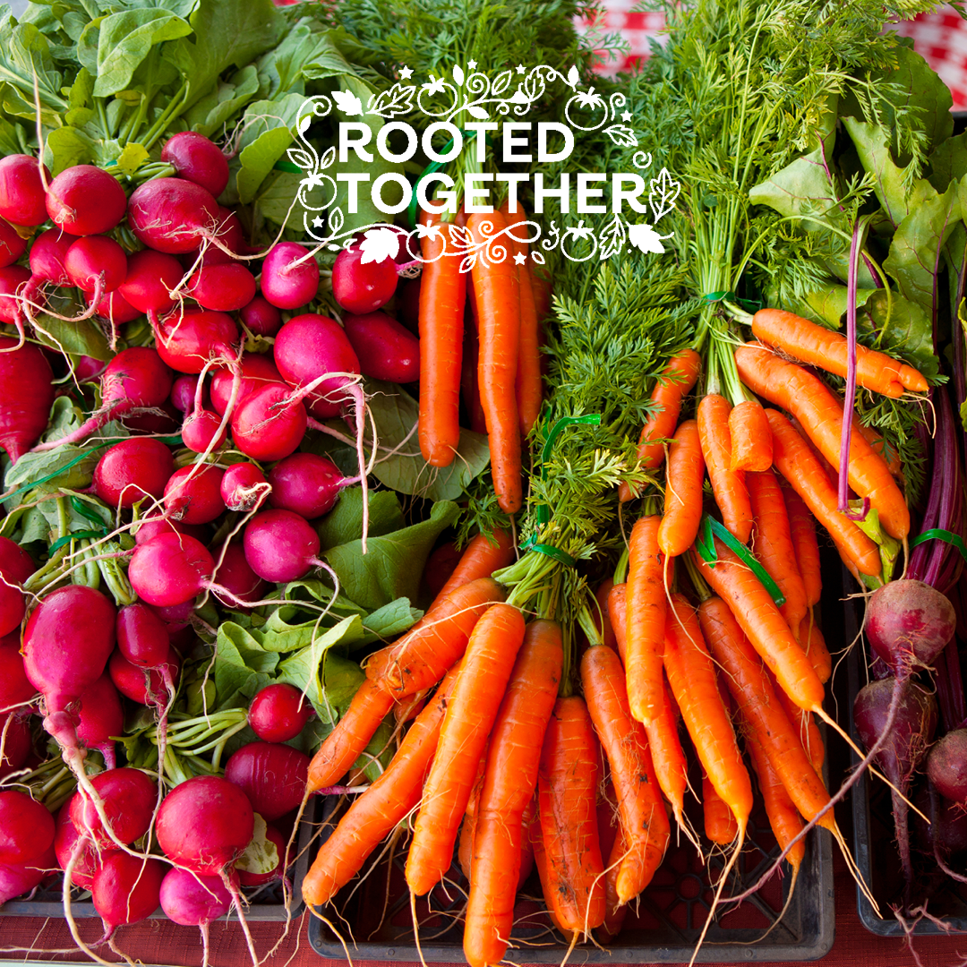 Rooted Together