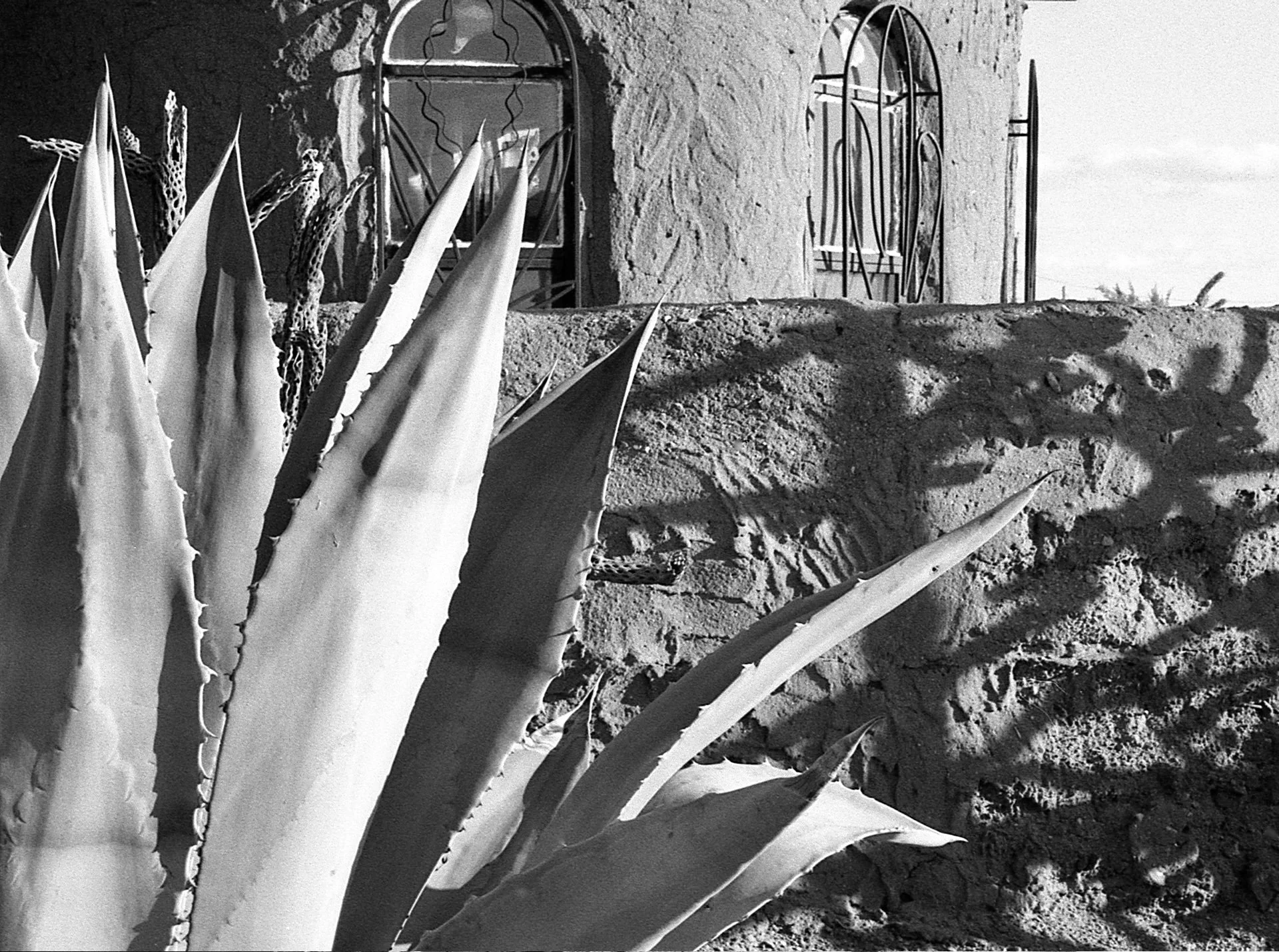 Beattas Garden_2. New Mexico. 1991.