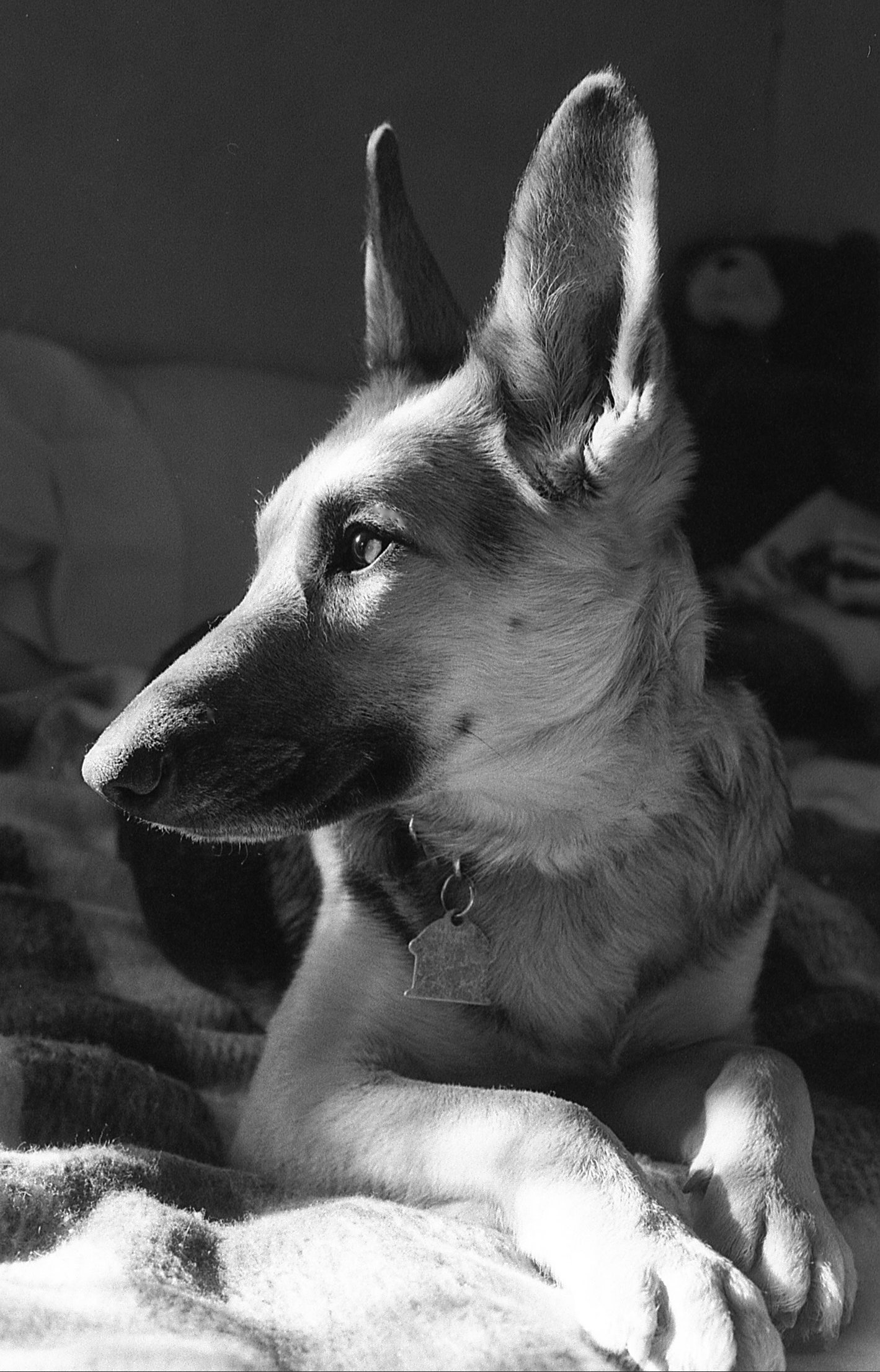 Phoebe. New Mexico. 1991. 