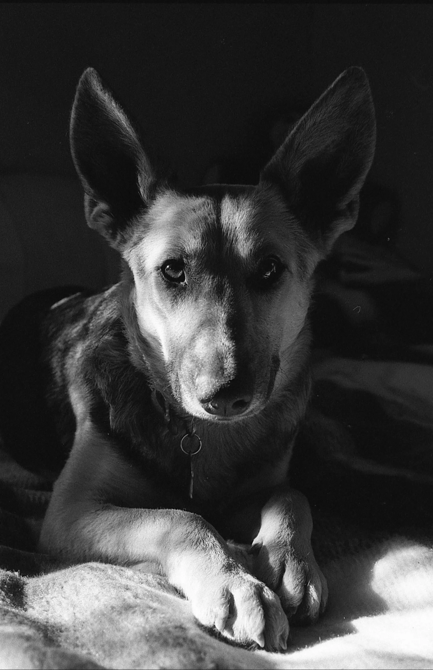 Phoebe_2. New Mexico. 1991.
