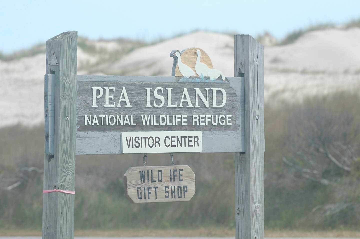 pea-island-wildlife.jpg