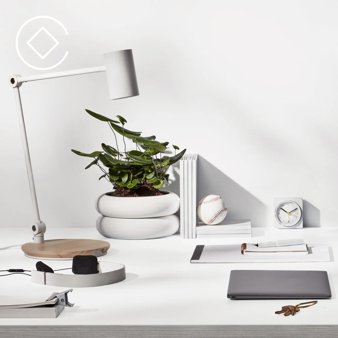 HSD is a Squarespace Circle Member! — Halfsquare Designs