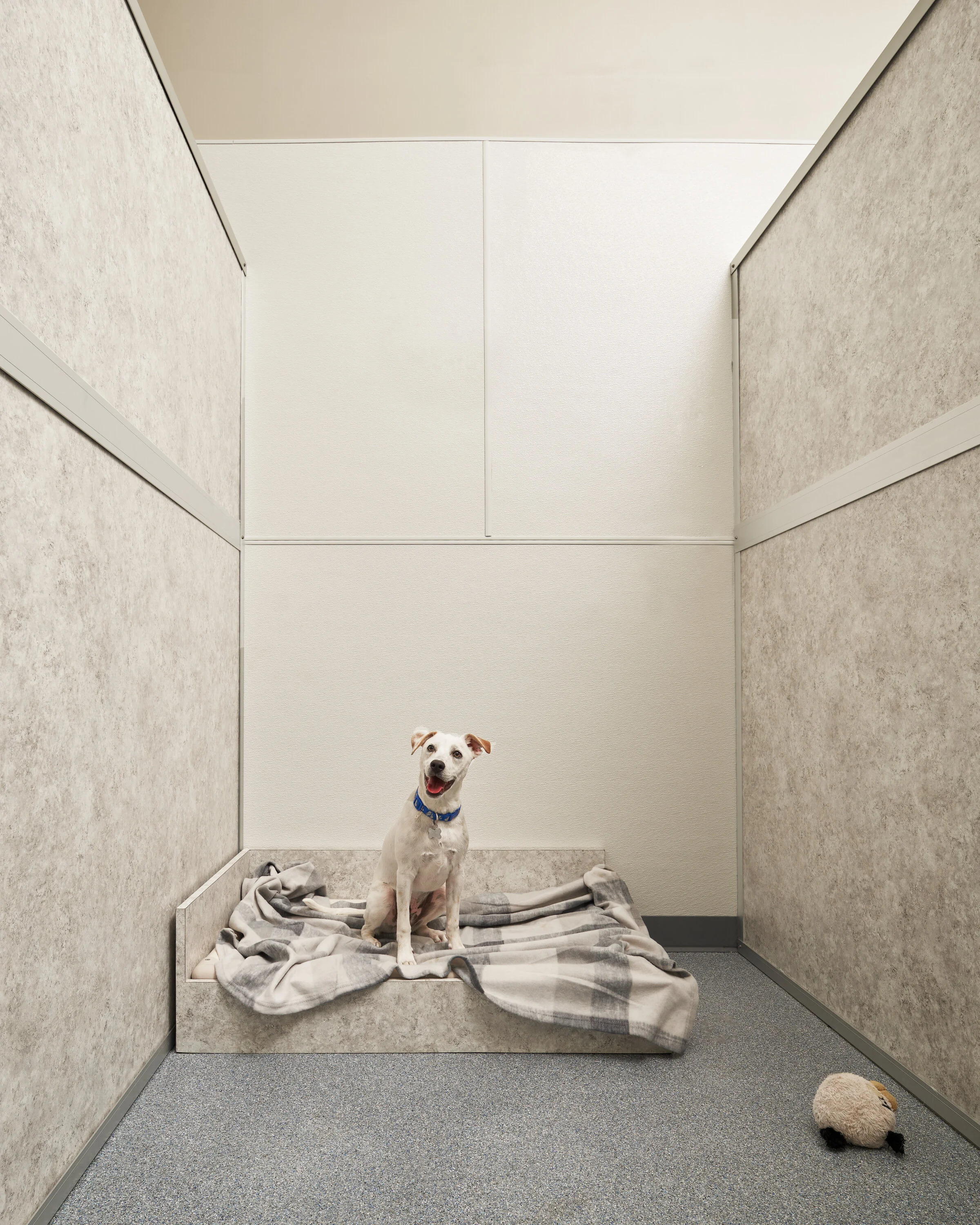 Firehouse Pet Resort — Logan Architecture