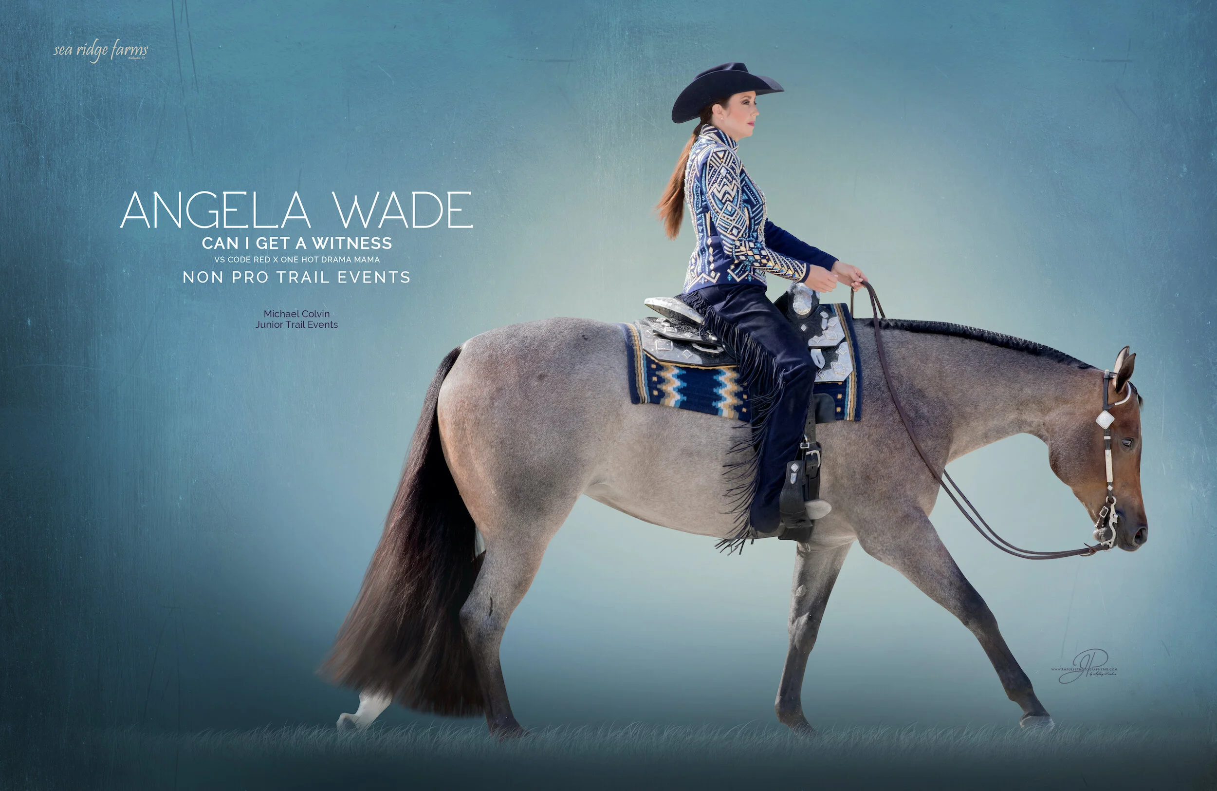 AngelaWadeJulyAugChronicleFullHorse.jpg