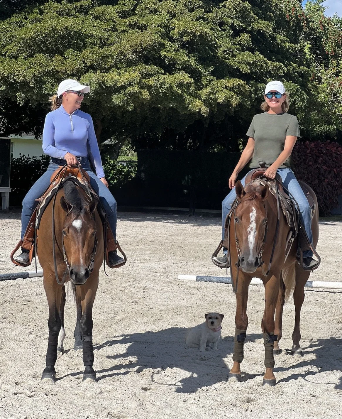 Screen Shot 2023-05-05 at 9.32.14 PM.png