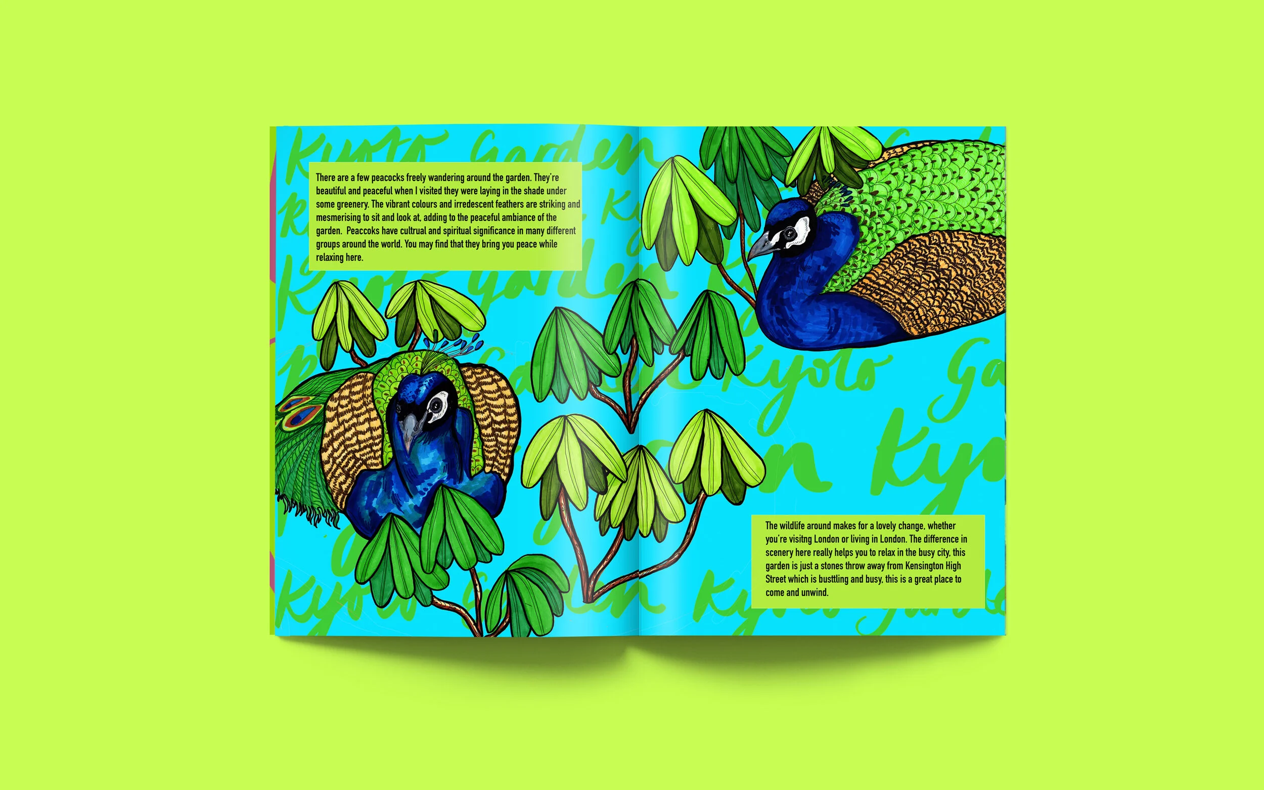 open spread 1 .jpg