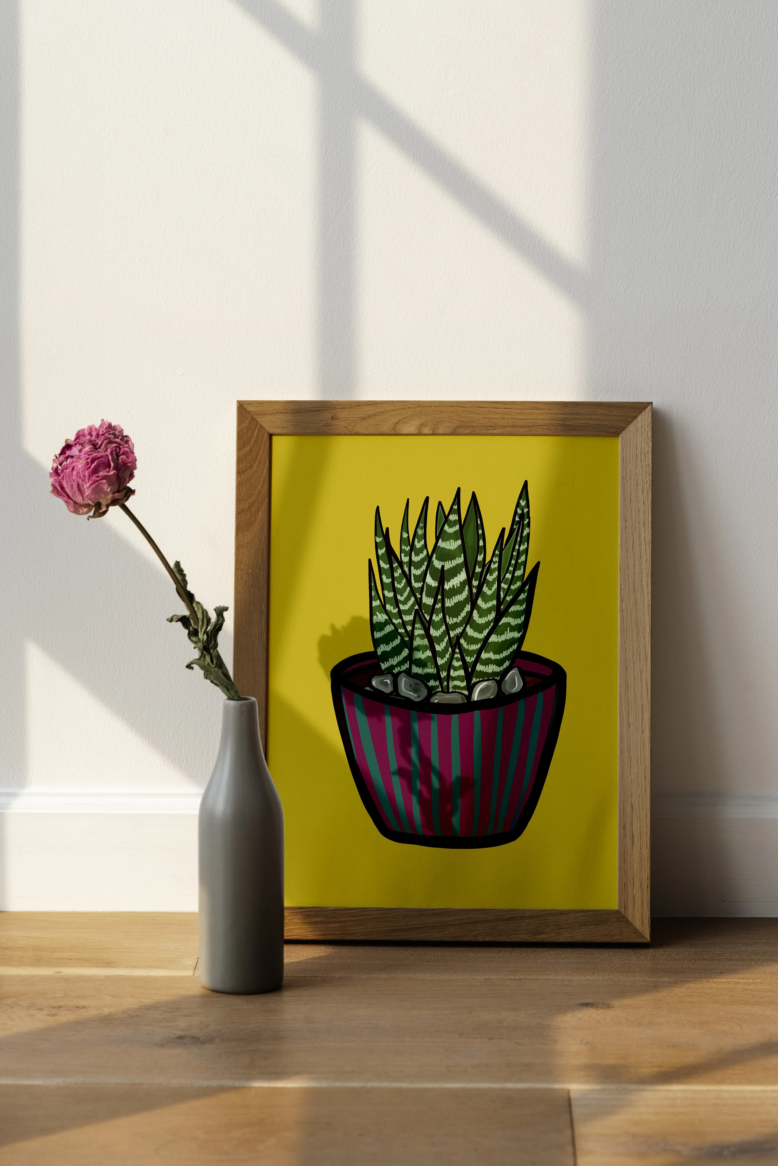 zebra plant .jpg