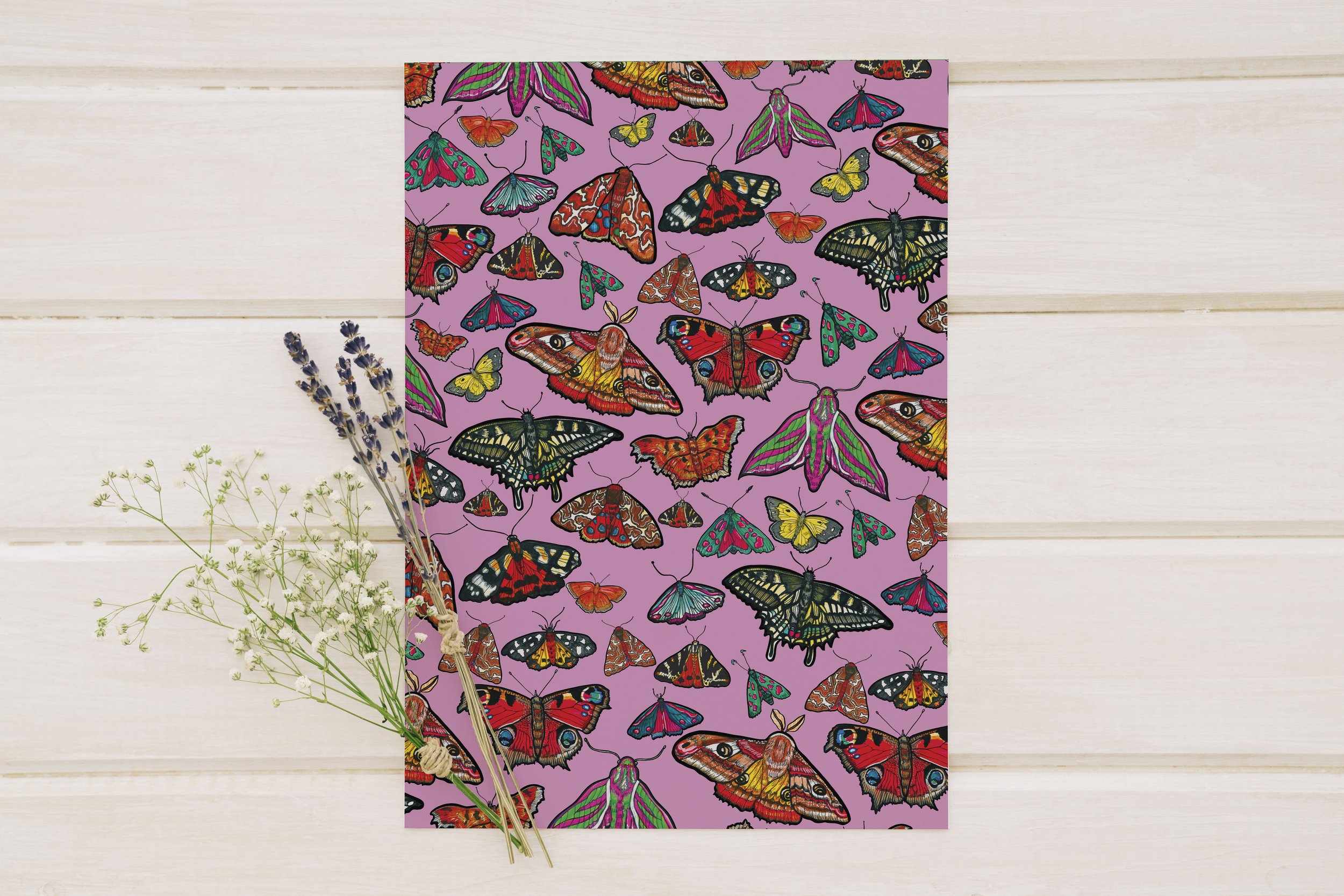 BUTTERFLY GIFTWRAP 2.jpeg