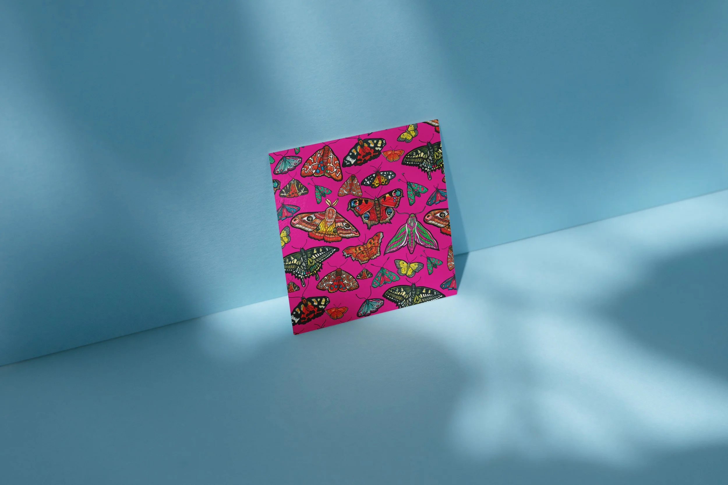 PINK BUTTERFLY 5.jpeg
