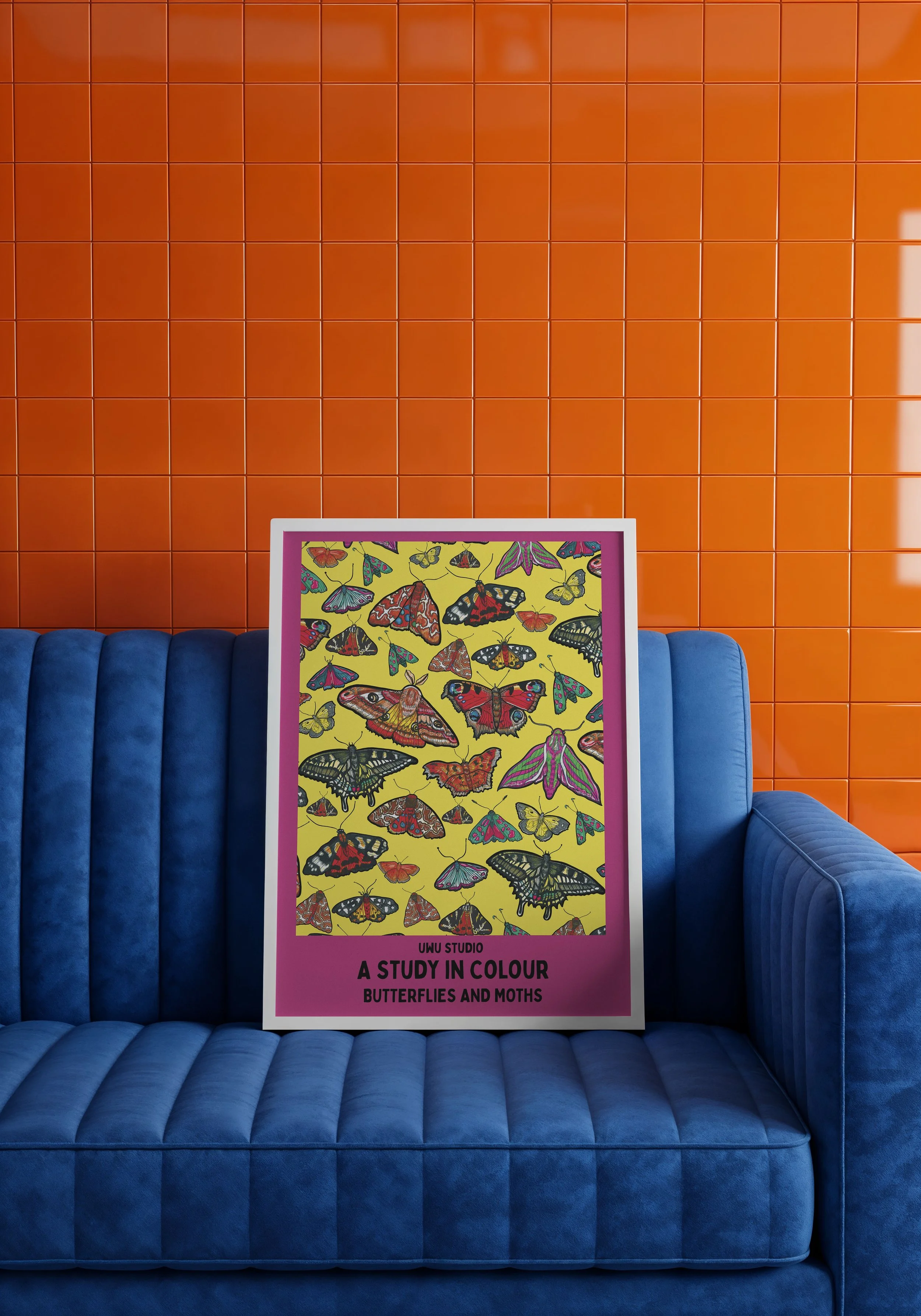 pink and yellow butterfly - orange wall.jpeg