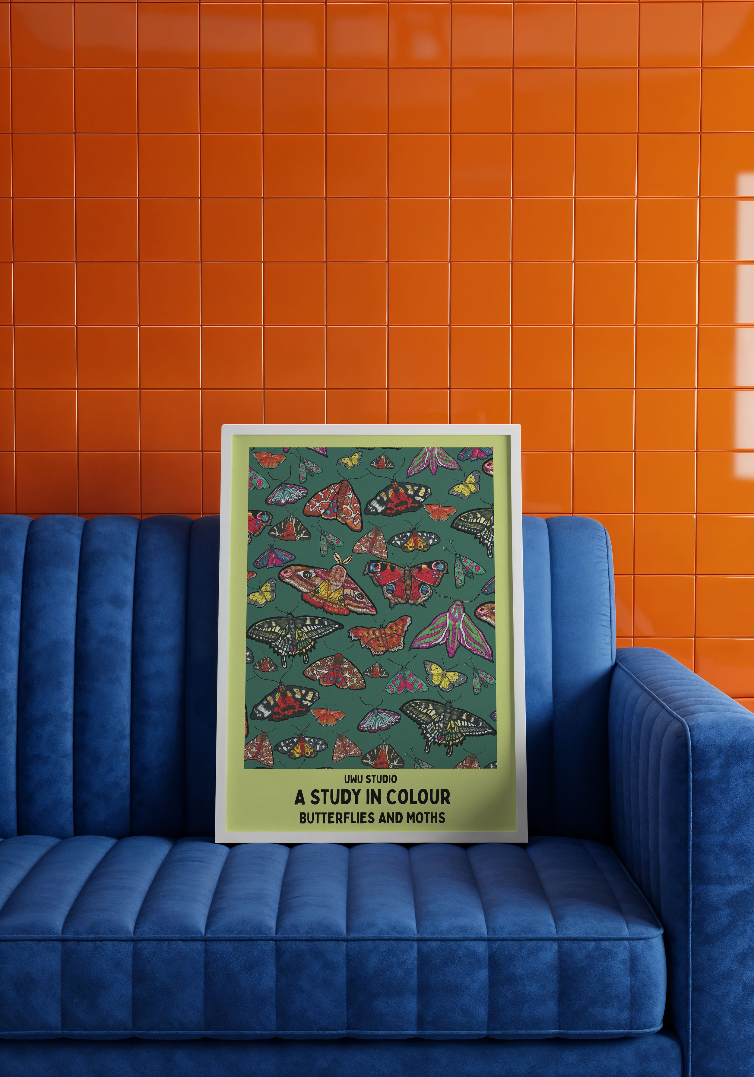 teal and mint  butterfly orange wall.jpeg